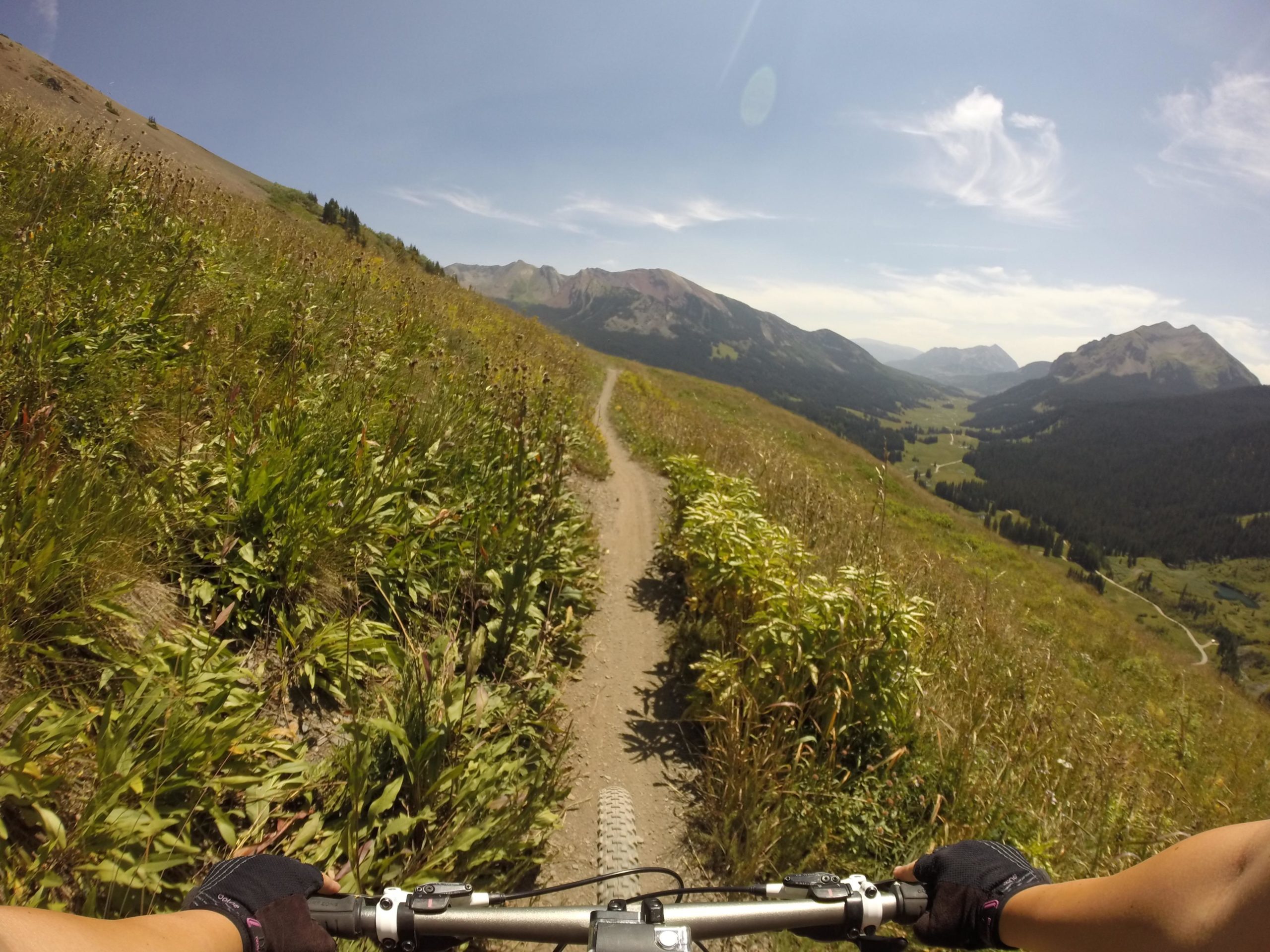 A view from the handlebars of a mountain bike riding along a dirt trail on a hillside, surrounded by vibrant greenery and wildflowers. In the background, a valley and mountains stretch under a clear blue sky with scattered clouds. Trail 401 mountain bike trail.