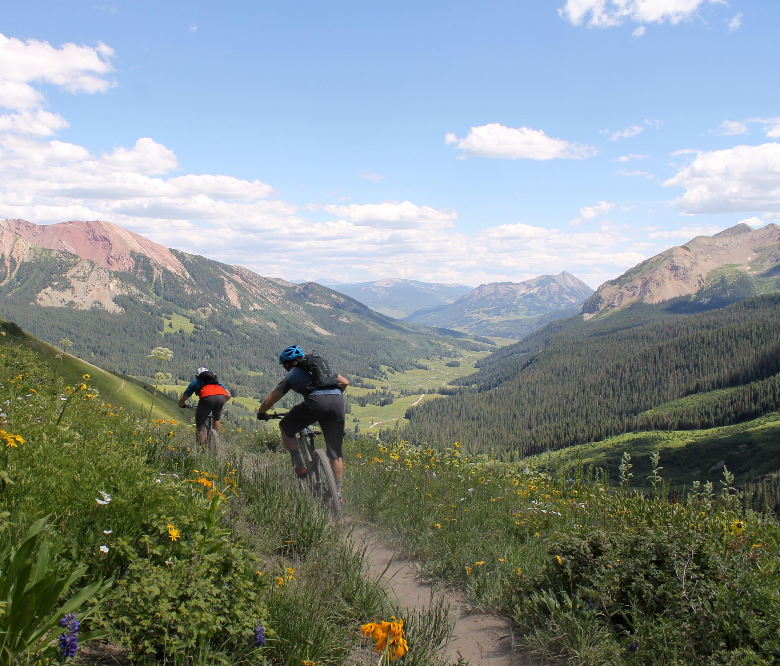Two mountain bikers navigate a winding trail through a vibrant landscape filled with wildflowers. In the background, towering mountains rise against a clear blue sky dotted with clouds, while a lush green valley stretches below. The scene captures the essence of outdoor adventure and natural beauty. Trail 401 mountain bike trail.