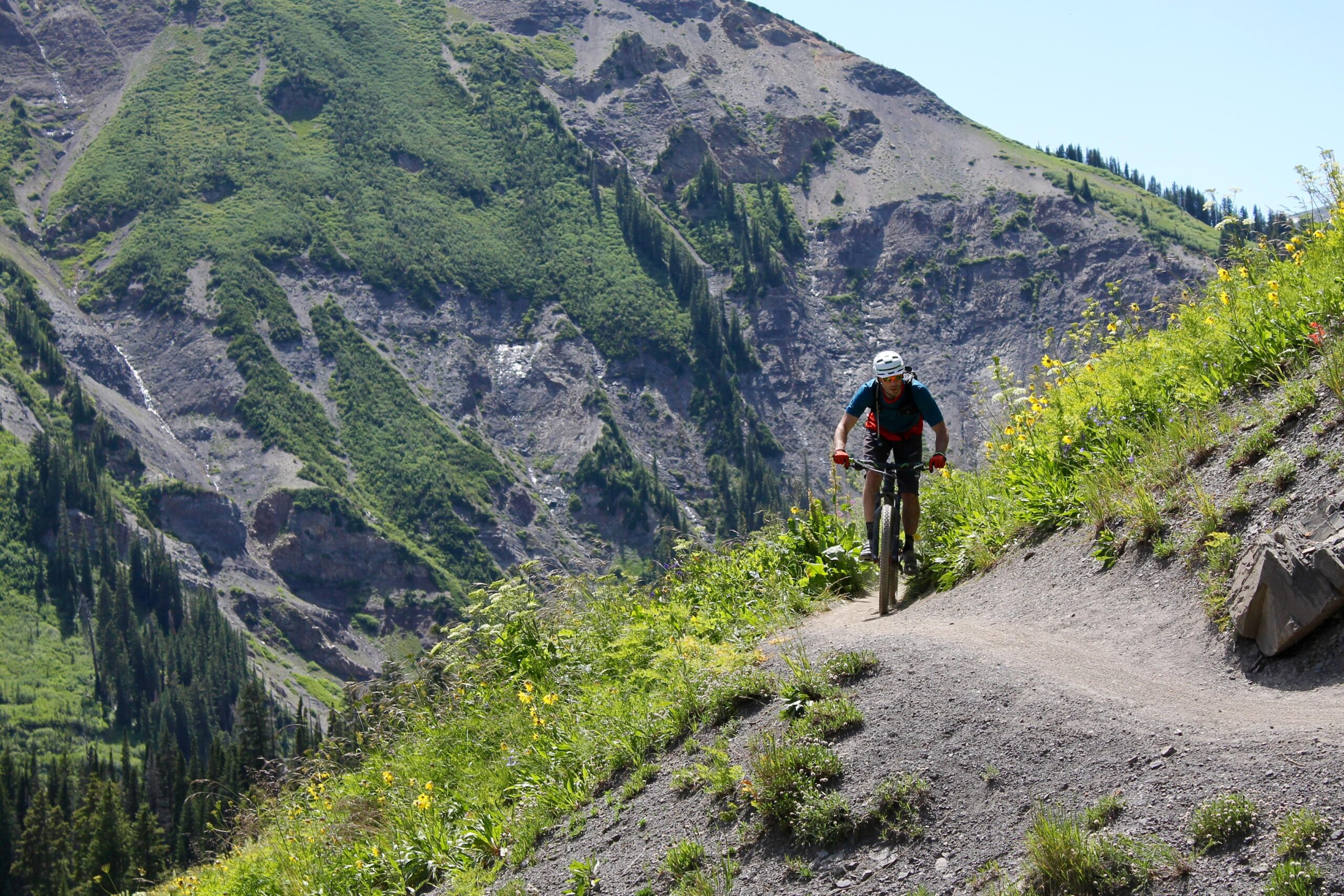 A mountain biker navigating a winding dirt trail surrounded by lush green vegetation and steep mountainous terrain. The scene captures a sunny day with clear skies, providing a vibrant backdrop for outdoor adventure. Trail 401 mountain bike trail.