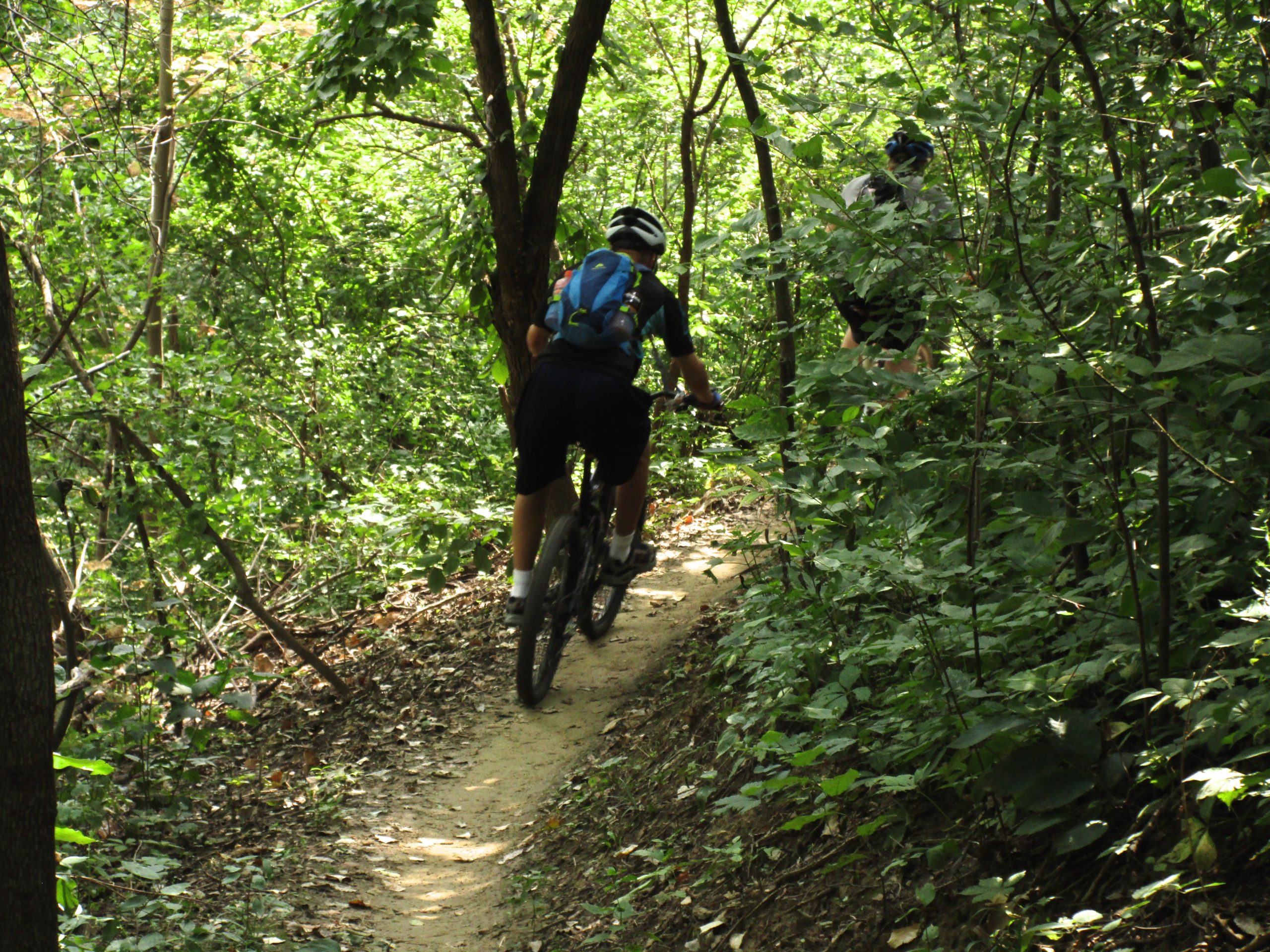 Two mountain bikers riding on a narrow dirt trail surrounded by lush greenery and trees. Sunlight filters through the leaves, illuminating the path as the cyclists navigate through the dense forest. Lewis And Clark Monument mountain bike trail.