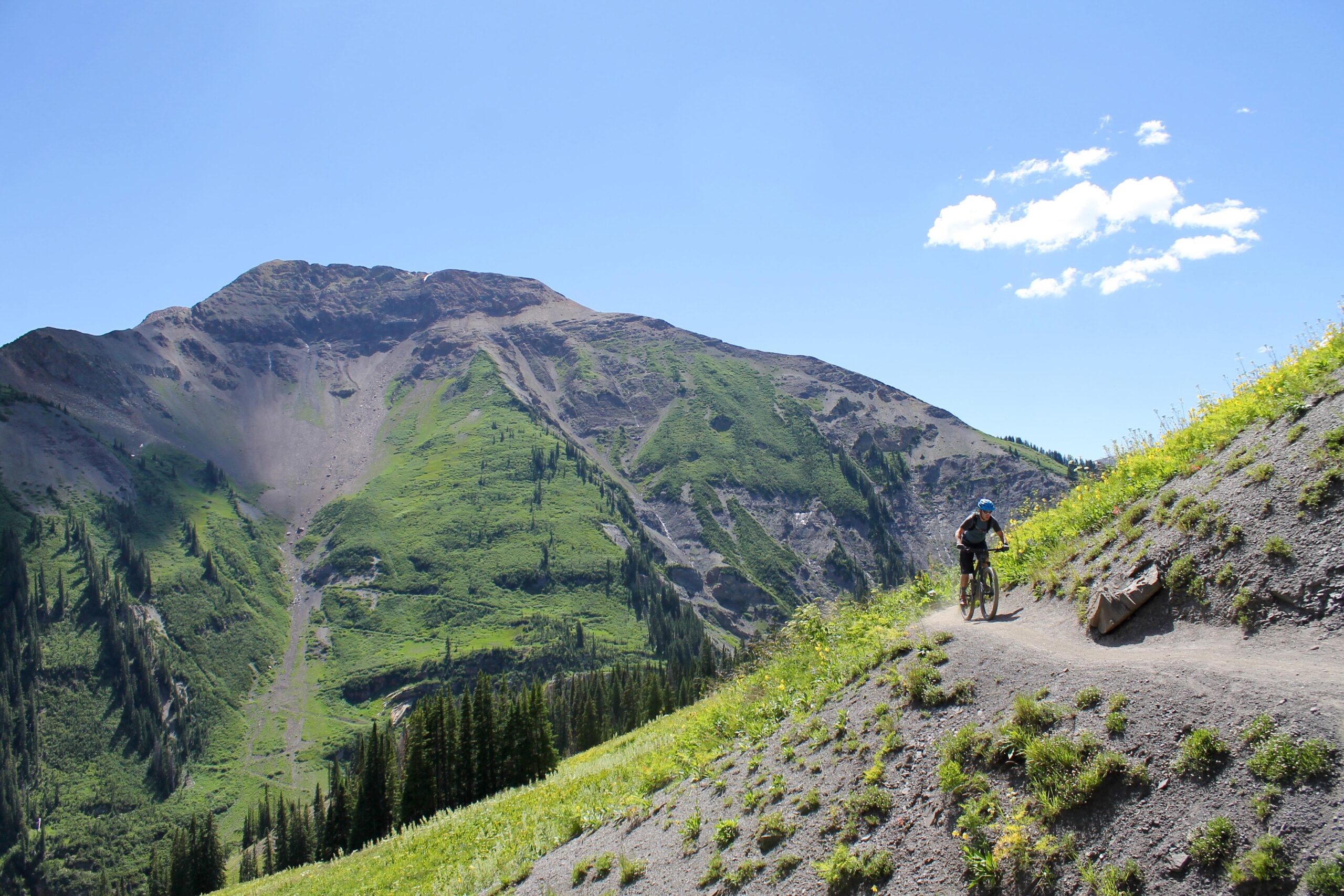 A mountain biker rides along a rugged trail, surrounded by lush green hills and towering mountains under a clear blue sky. Wildflowers and vegetation line the path, creating a vibrant natural landscape. Trail 401 mountain bike trail.