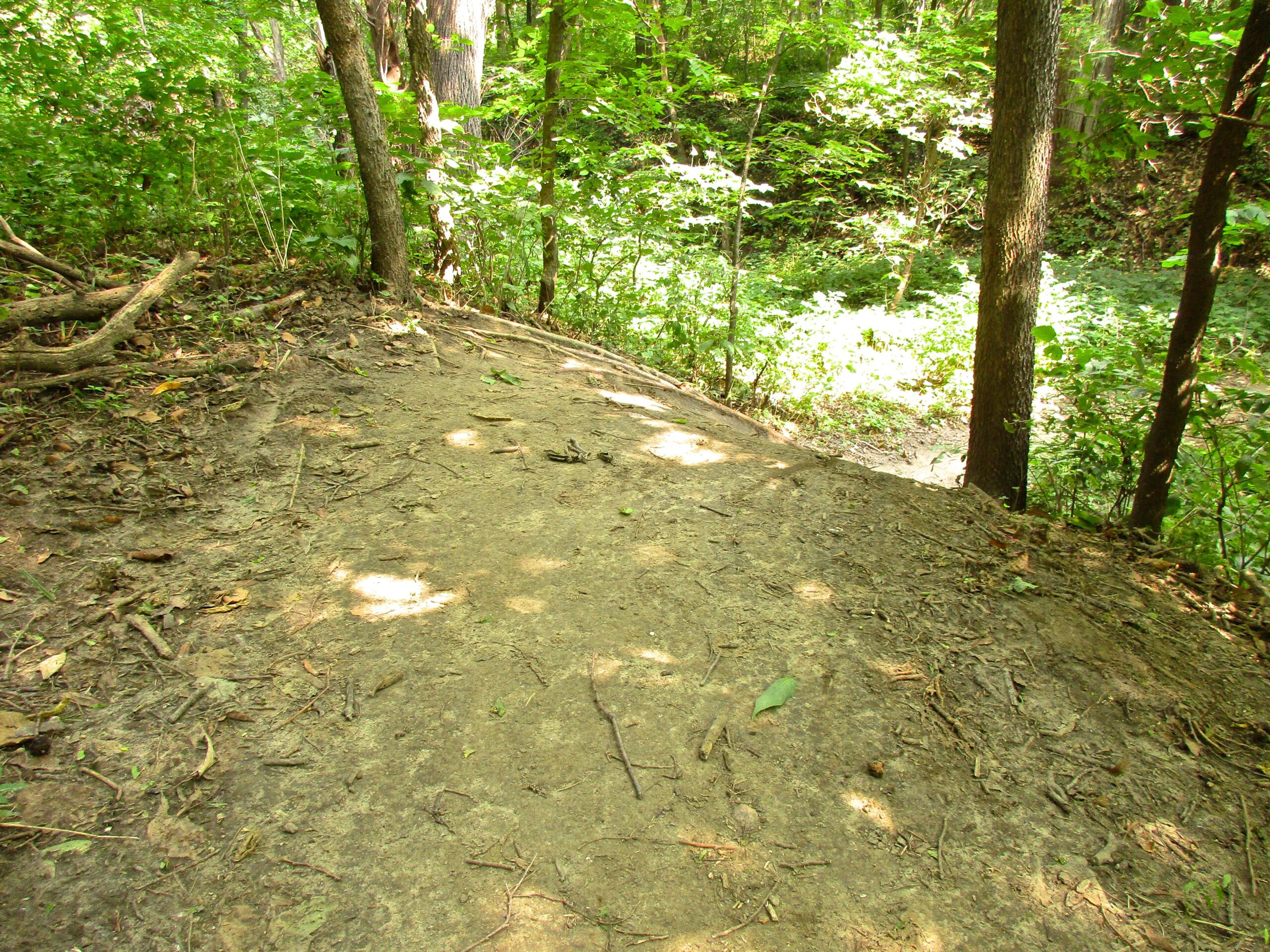 A dirt path winding through a lush green forest, bordered by trees and underbrush, with sunlight filtering through the leaves, illuminating the ground. Lewis And Clark Monument mountain bike trail.