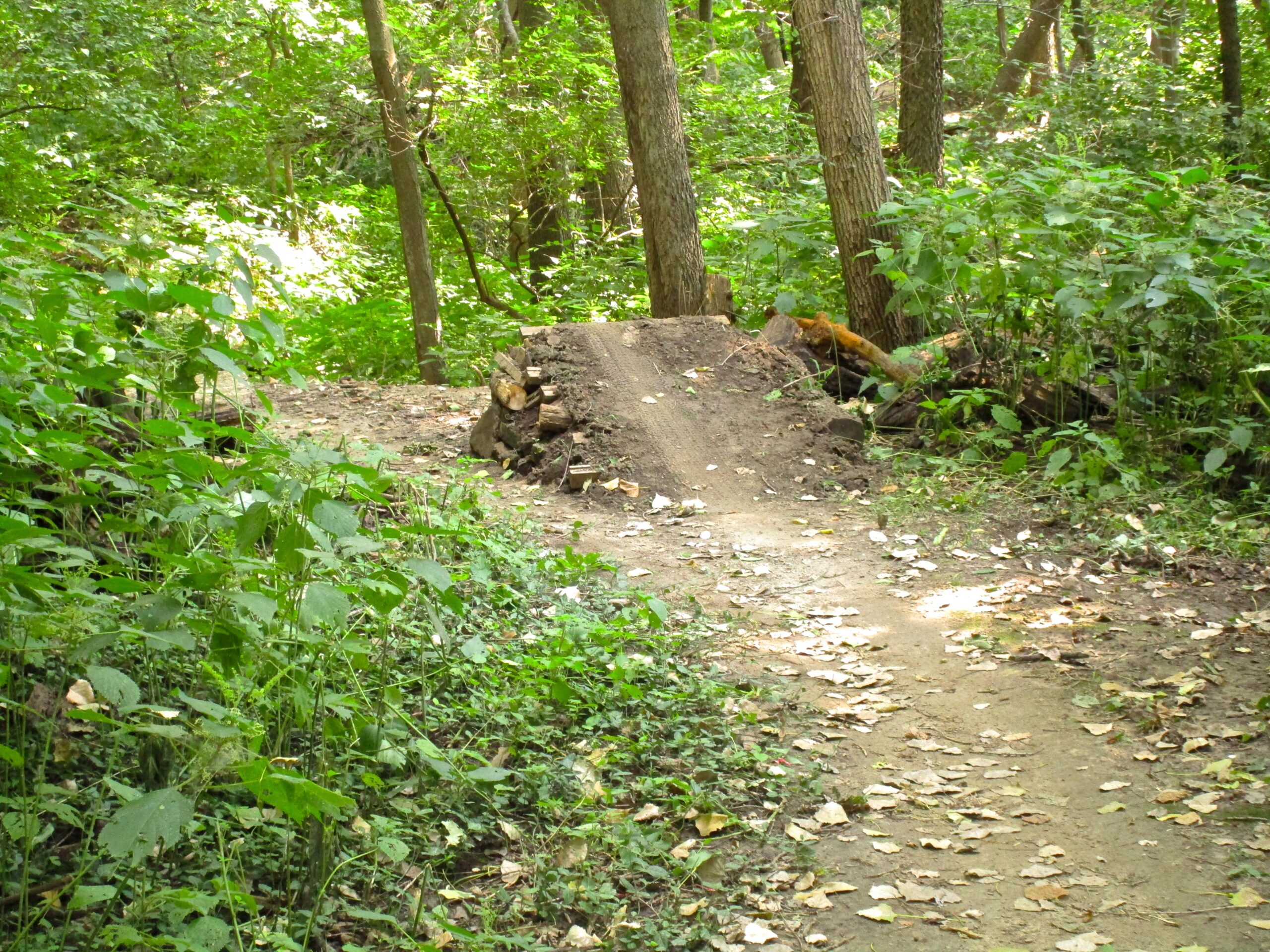 A dirt trail in a lush forest, with green foliage and trees on either side, leading to a small dirt jump or mound. Fallen leaves scatter on the path, creating a natural, shaded setting. Lewis And Clark Monument mountain bike trail.
