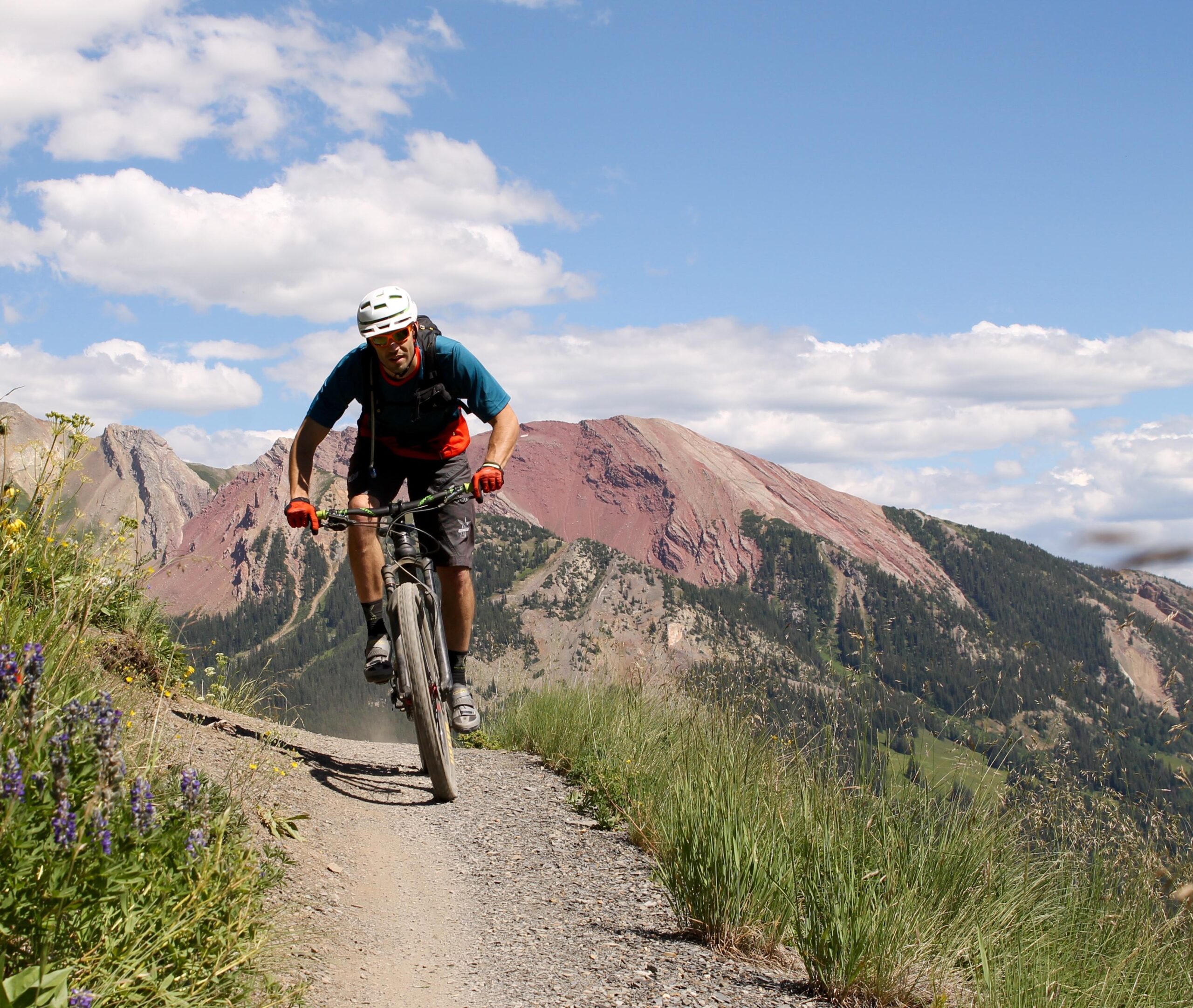 A mountain biker navigates a dusty trail on a sunny day, surrounded by vibrant green grass and wildflowers, with rocky mountains in the background under a partly cloudy sky. Trail 401 mountain bike trail.
