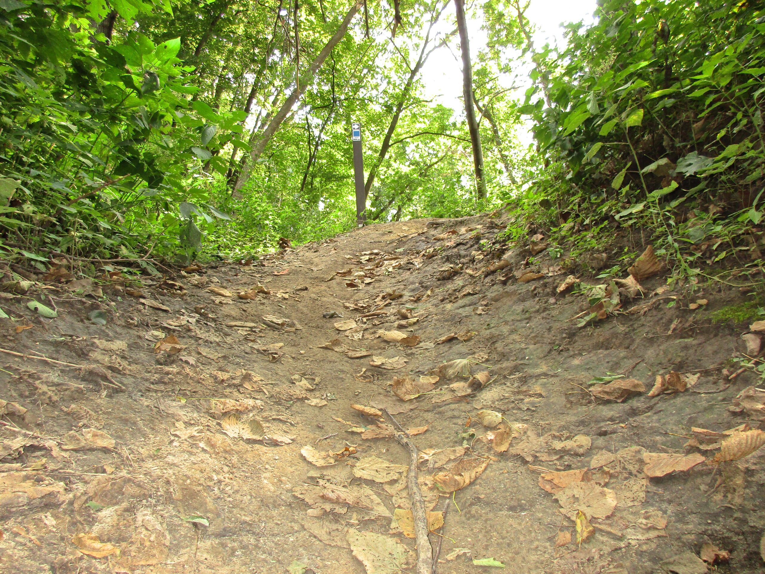 A dirt path leads uphill, lined with green foliage and scattered fallen leaves. In the background, a post or marker is partially visible, indicating a trail or route in a wooded area. The scene is bright, showcasing the natural beauty of the environment. Lewis And Clark Monument mountain bike trail.
