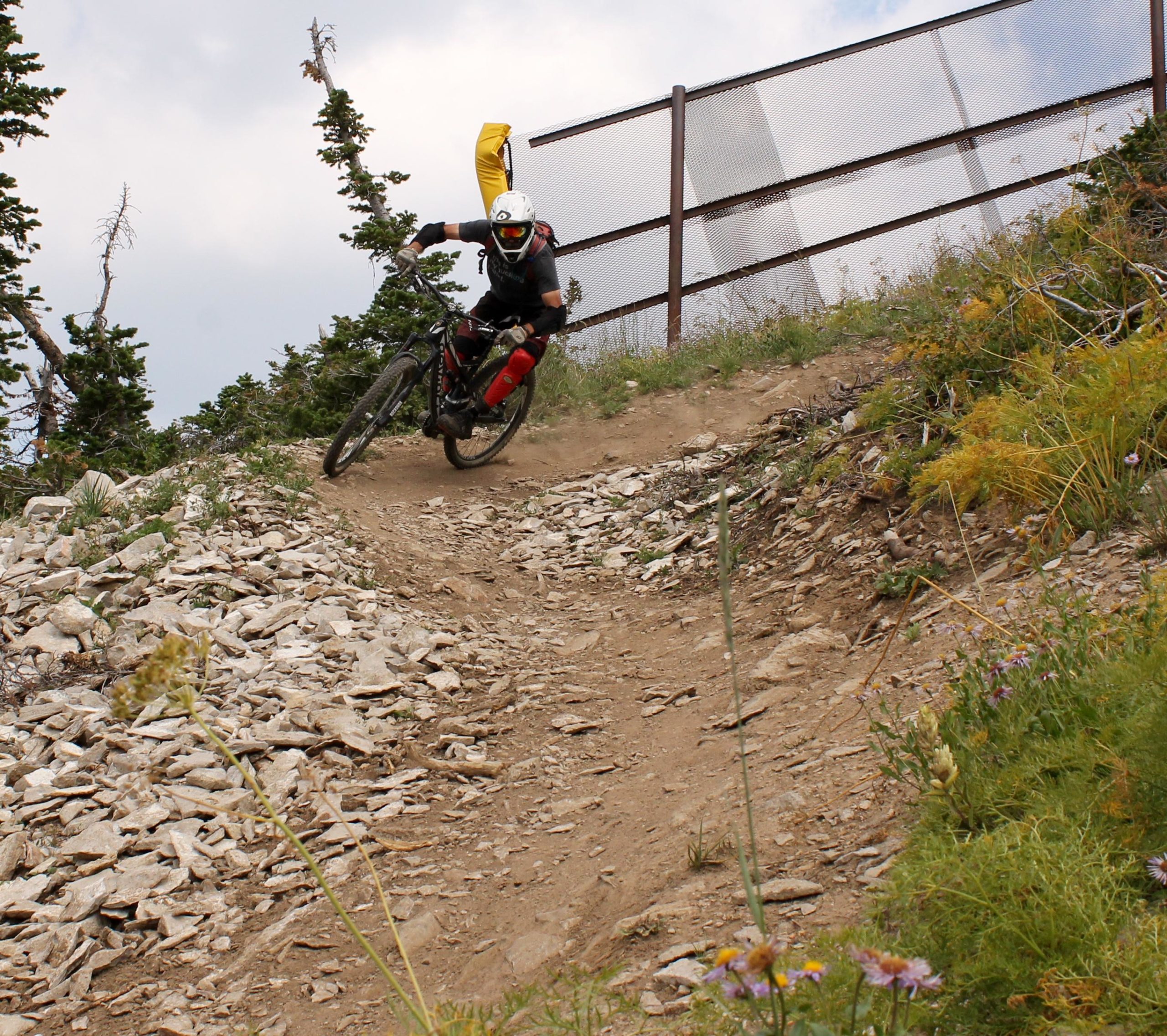 A mountain biker leans into a curve on a rocky dirt trail, wearing a helmet and protective gear. The trail is lined with sparse vegetation and wildflowers, with a wire mesh fence visible in the background. Grand Targhee Bike Park mountain bike trail.