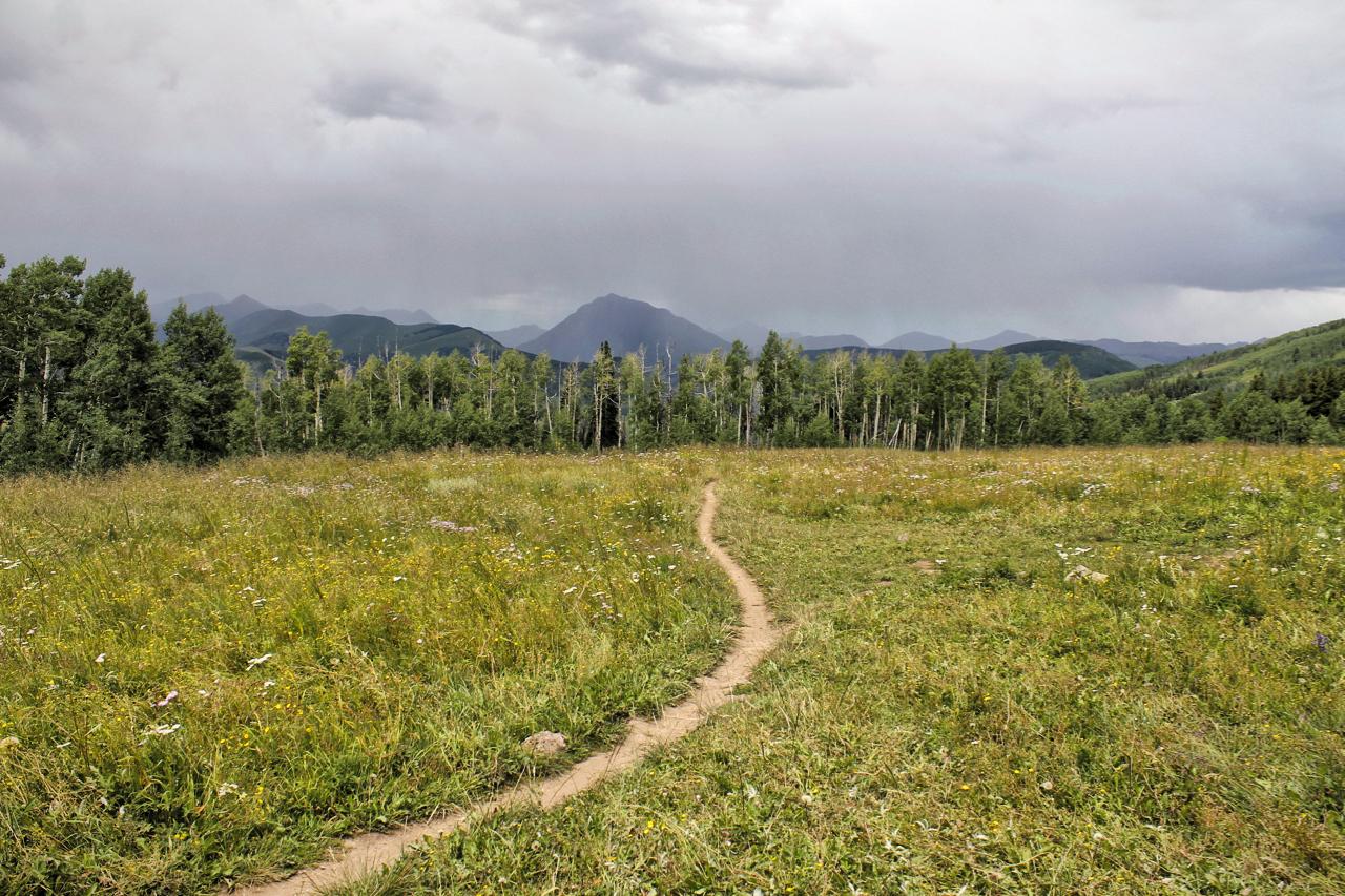 A scenic landscape featuring a grassy field dotted with wildflowers, leading to a winding dirt path. In the background, mountains rise under a cloudy sky, suggesting potential rain. Lush green trees line the edges of the field, creating a serene and natural environment. Strand Hill mountain bike trail.
