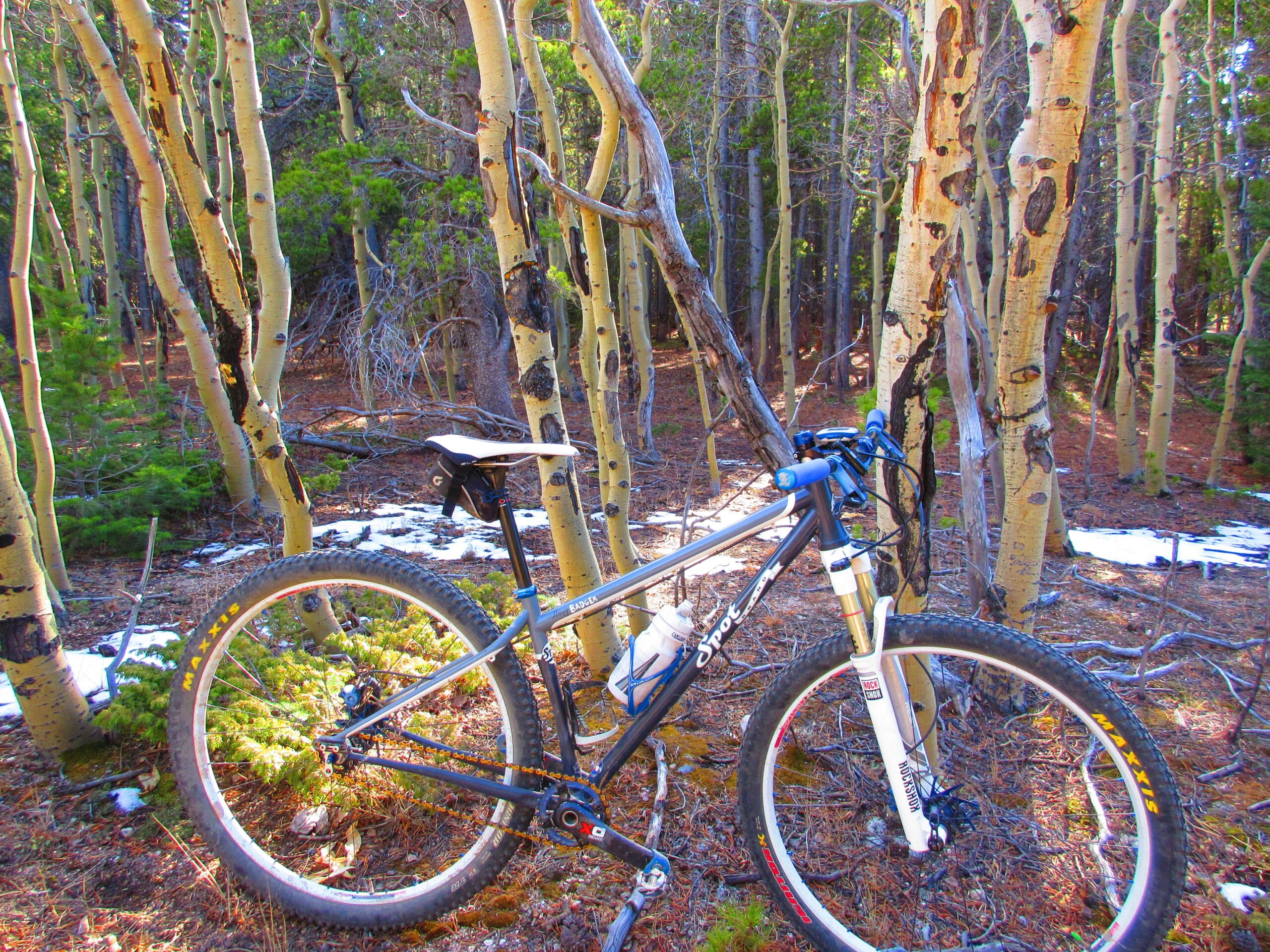 SPOT Honey Badger Singlespeed: Mountain bike leaning against aspen trees in a forest setting, with patches of snow visible on the ground and sunlight filtering through the trees.