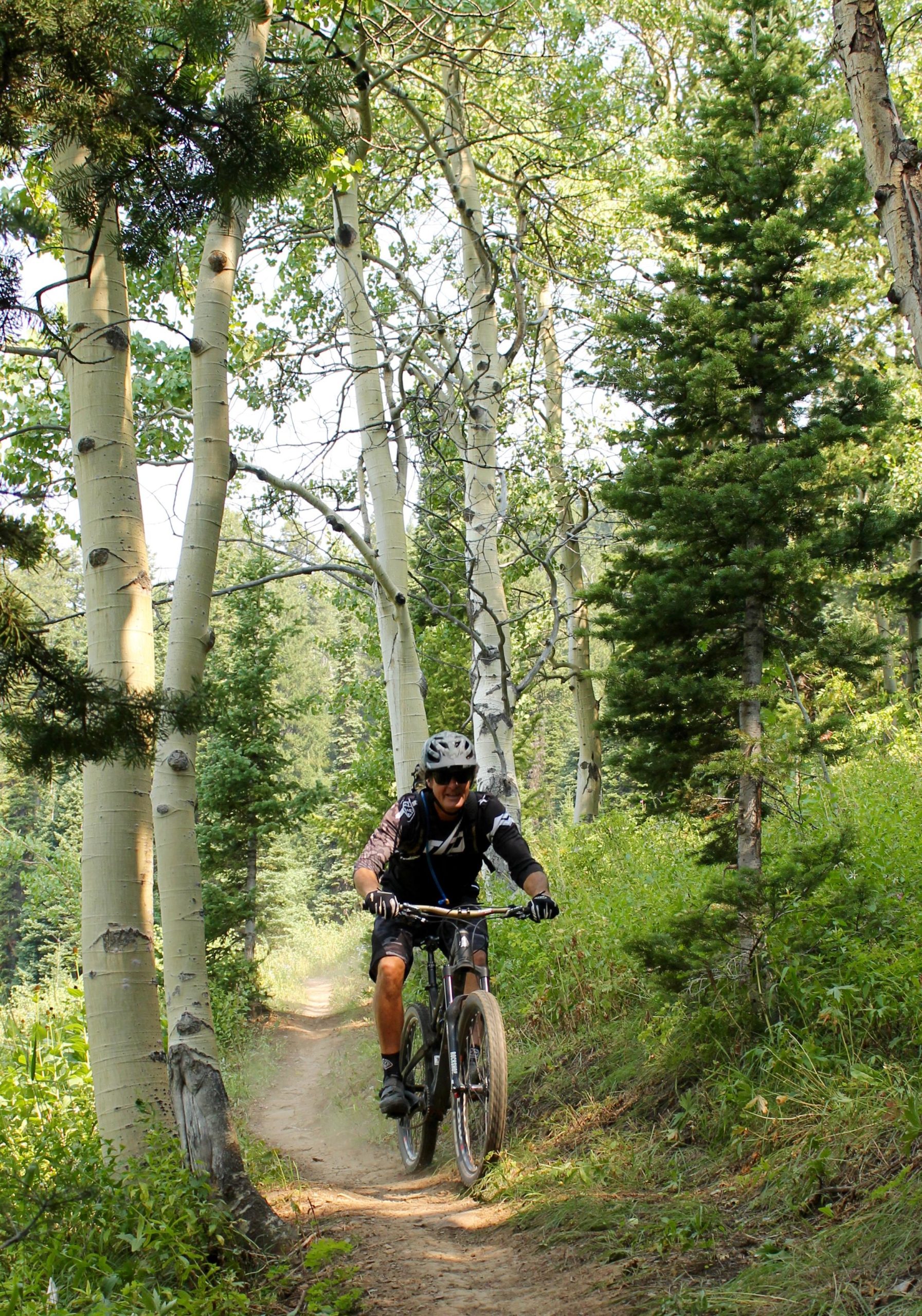 A mountain biker riding along a dirt trail surrounded by tall trees and greenery, with sunlight filtering through the leaves. The biker is wearing a helmet and protective gear, and kicking up dust as they navigate the trail. Mill Creek mountain bike trail.