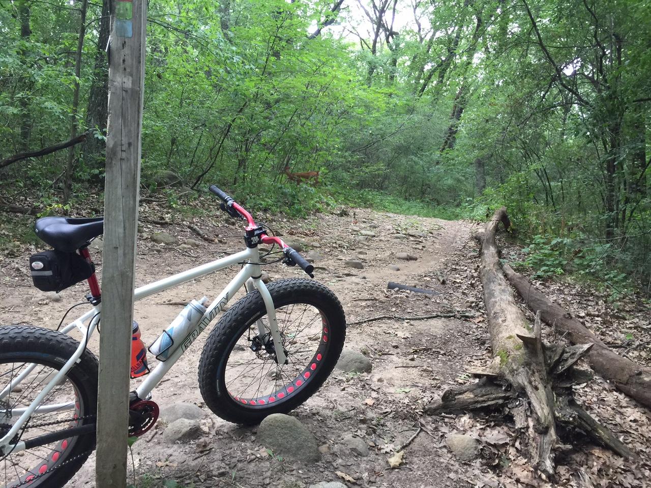 A mountain bike with thick tires rests against a wooden post on a dirt trail surrounded by dense greenery. In the background, the trail leads deeper into a wooded area with rocks and fallen logs scattered along the path. Kettle Moraine John Muir + Emma Carlin mountain bike trail.