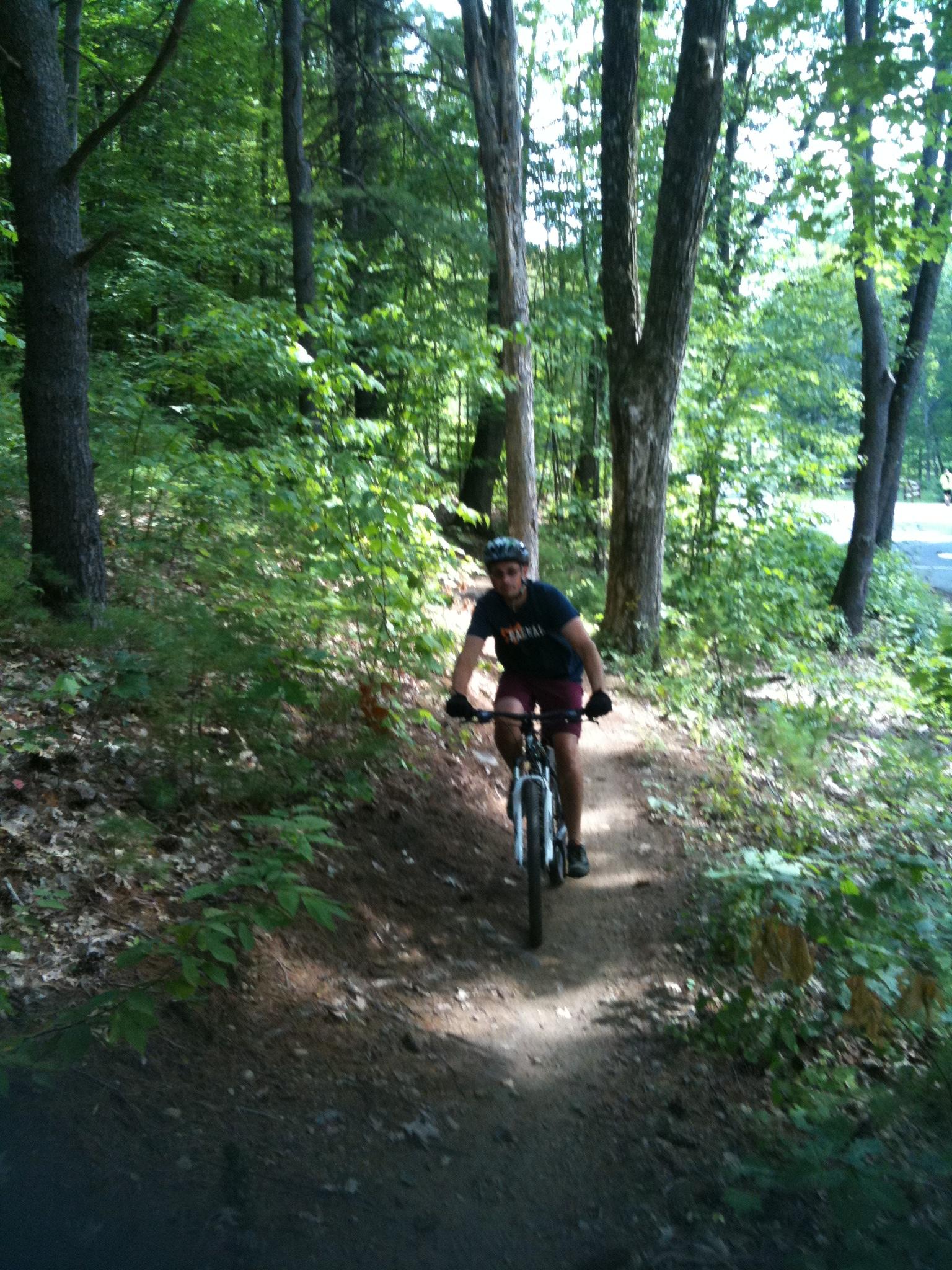 A person riding a mountain bike on a narrow dirt trail surrounded by lush green trees and foliage. Sunlight filters through the leaves, creating a dappled light effect on the ground. Gurney Lane Mountain Bike Trails mountain bike trail.
