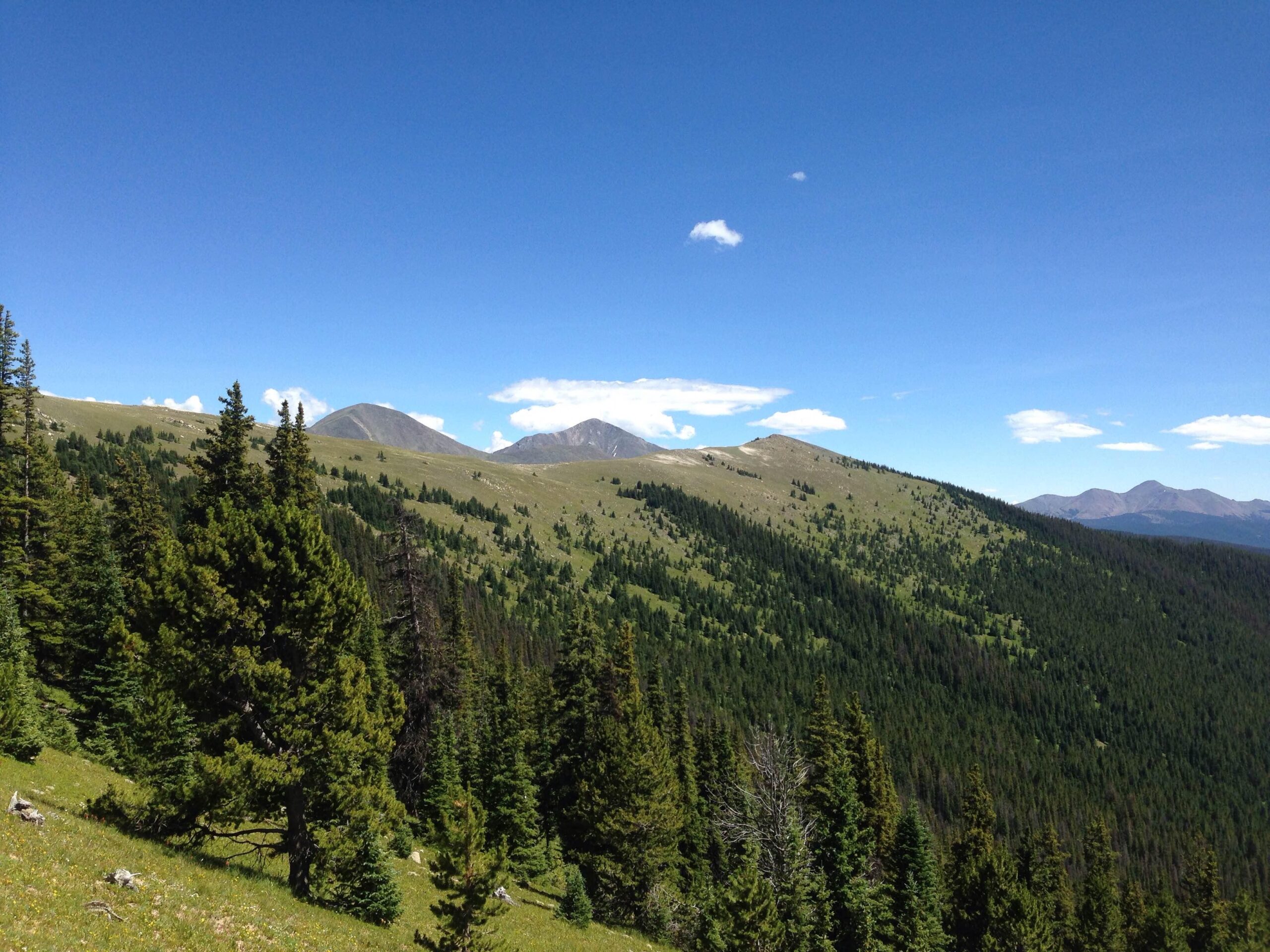 Lush green mountainsides under a clear blue sky, with a mix of evergreen trees in the foreground and distant rugged peaks. Some white clouds drift across the sky, enhancing the serene landscape. Monarch Crest Trail mountain bike trail.