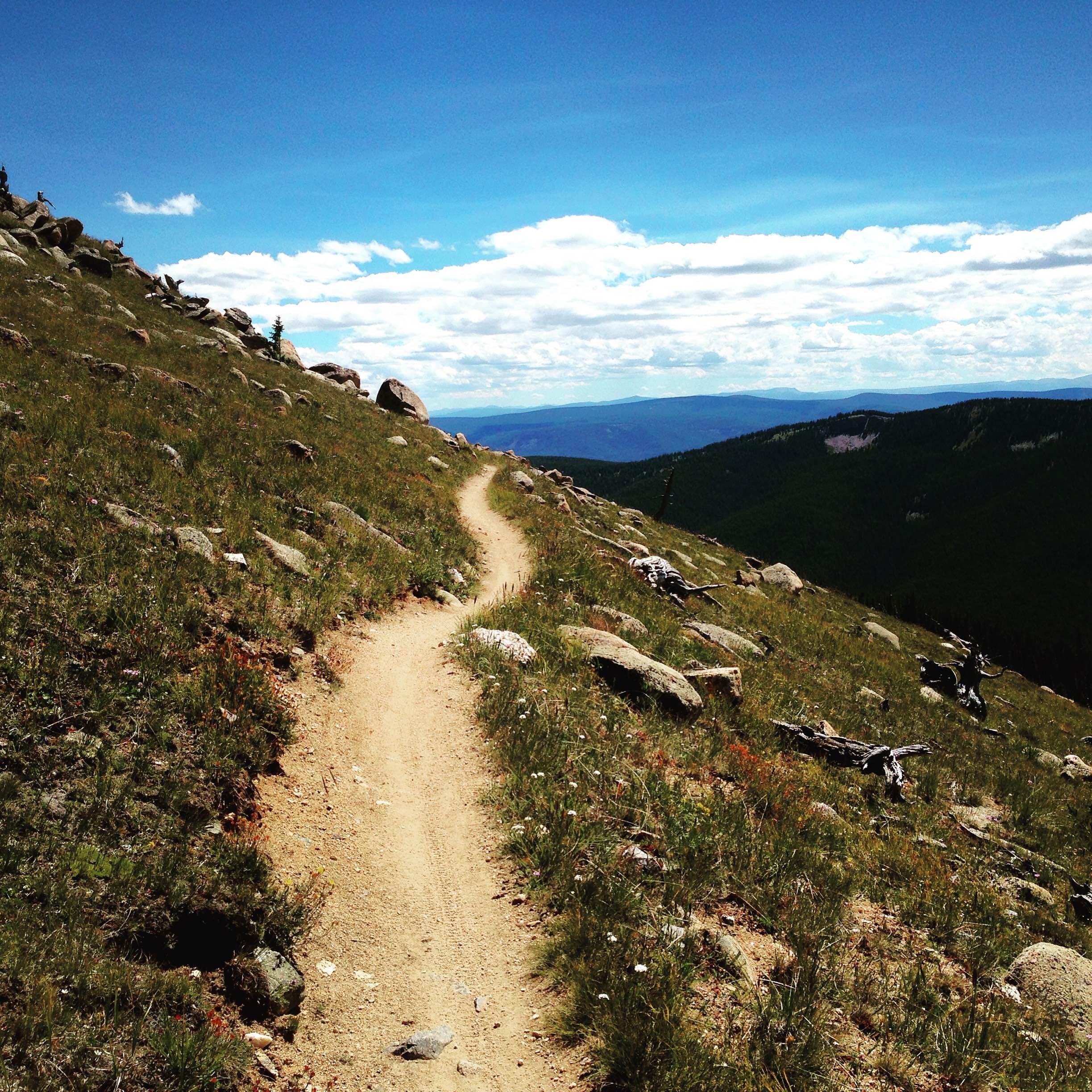 A winding dirt trail leads through a grassy hillside, bordered by scattered rocks, with a panoramic view of distant mountains under a bright blue sky with fluffy clouds. Monarch Crest Trail mountain bike trail.