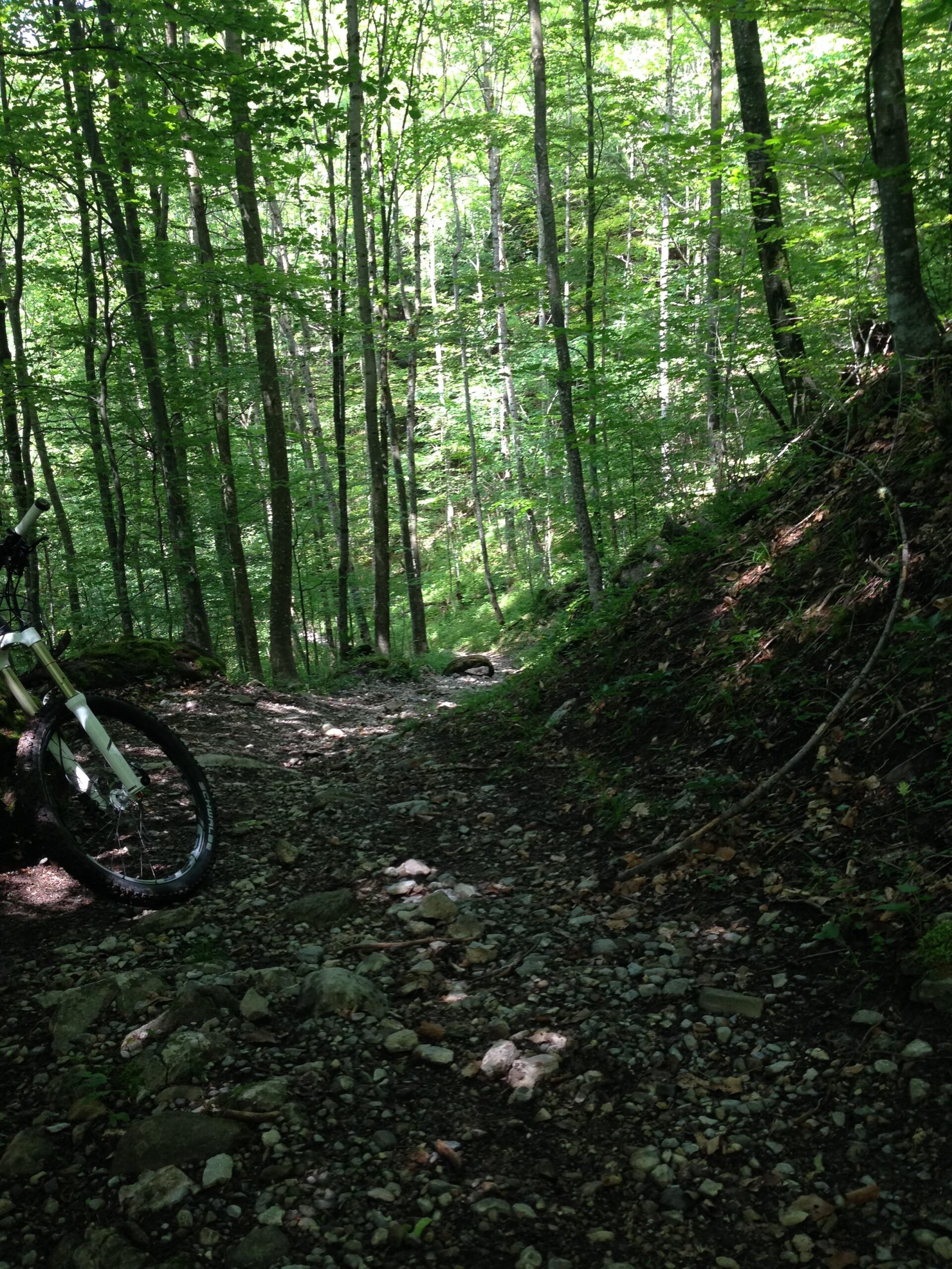 Scott Genius LT 720: A winding dirt trail through a lush green forest, flanked by tall trees with bright green leaves. In the foreground, a bicycle wheel is partially visible on the left side, resting on a rocky, gravelly path. Sunlight filters through the trees, illuminating parts of the trail and creating a serene, natural atmosphere.