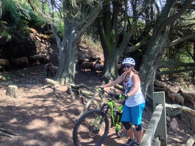  Sorel Point to L'Etacq mountain bike trail.