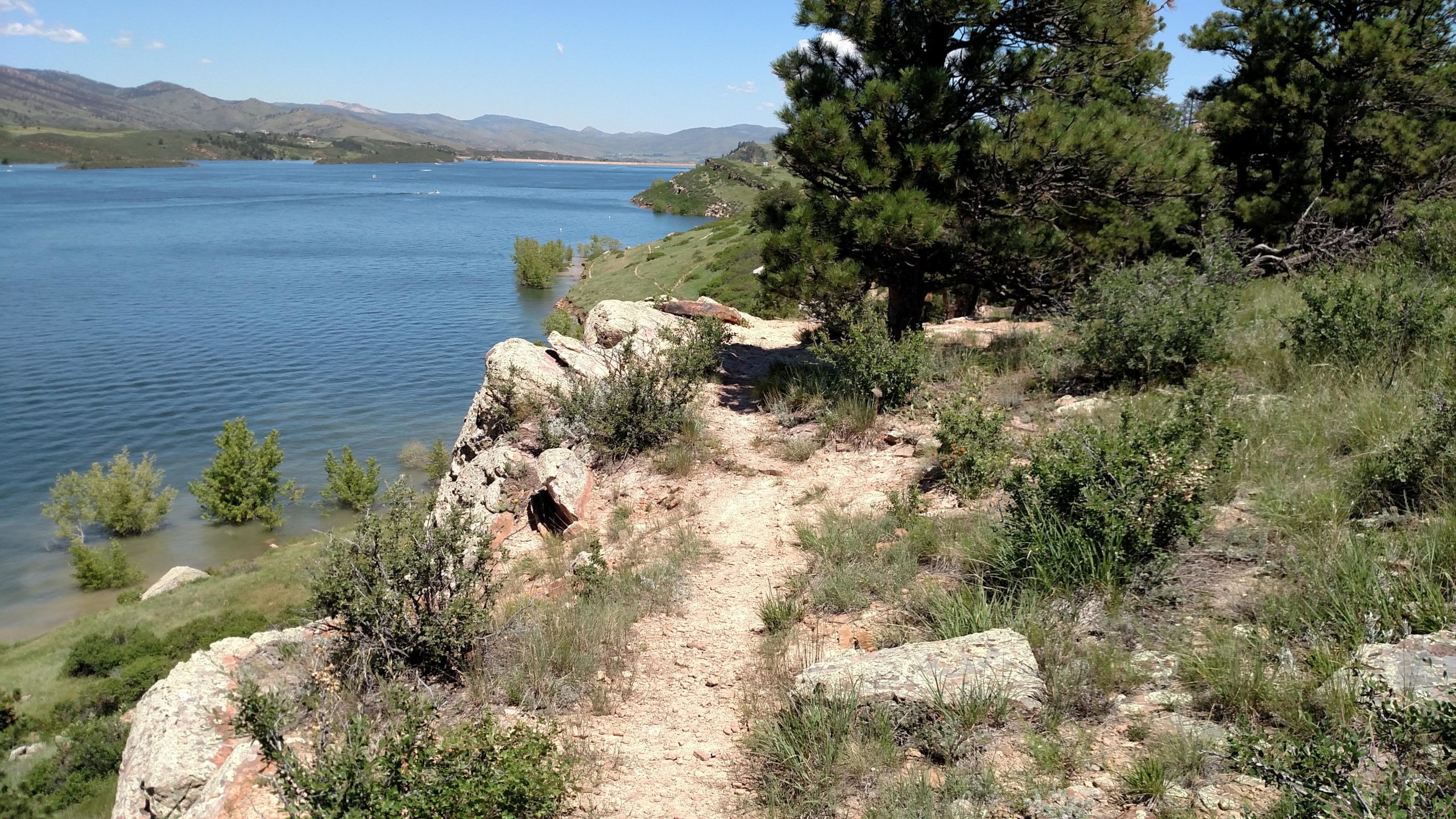 A scenic view of a serene lake surrounded by rolling hills and greenery. A narrow dirt path lined with rocky outcrops leads to the water's edge, where trees partially submerged in the lake can be seen. In the background, gentle hills rise under a clear blue sky. Foothills Trail mountain bike trail.