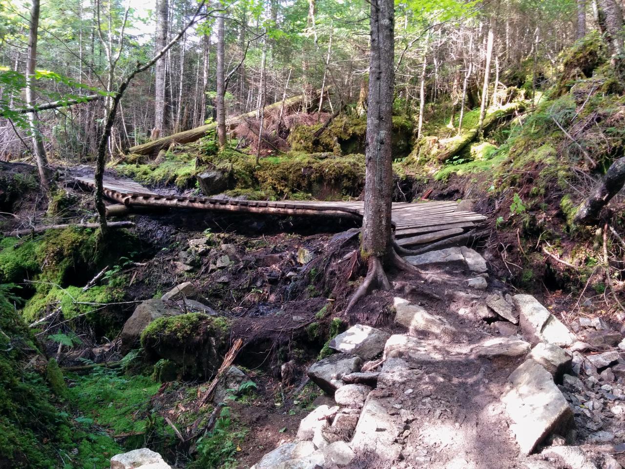 A wooden bridge crosses a small ravine in a lush, green forest. The scene features a rocky path leading towards the bridge, surrounded by moss-covered ground and trees. Sunlight filters through the leaves, illuminating the natural landscape. Vallee Bras Du Nord Secteur Shannahan mountain bike trail.