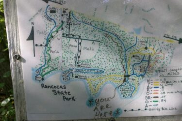 Map of Rancocas State Park, showing trails, landmarks, and a marked location indicating "You Are Here." The map includes markings for various trails with different lengths and colors, as well as features like fields, creeks, a bridge, and a goat ramp. North is indicated at the top of the map. Rancocas State Park - Westampton mountain bike trail.