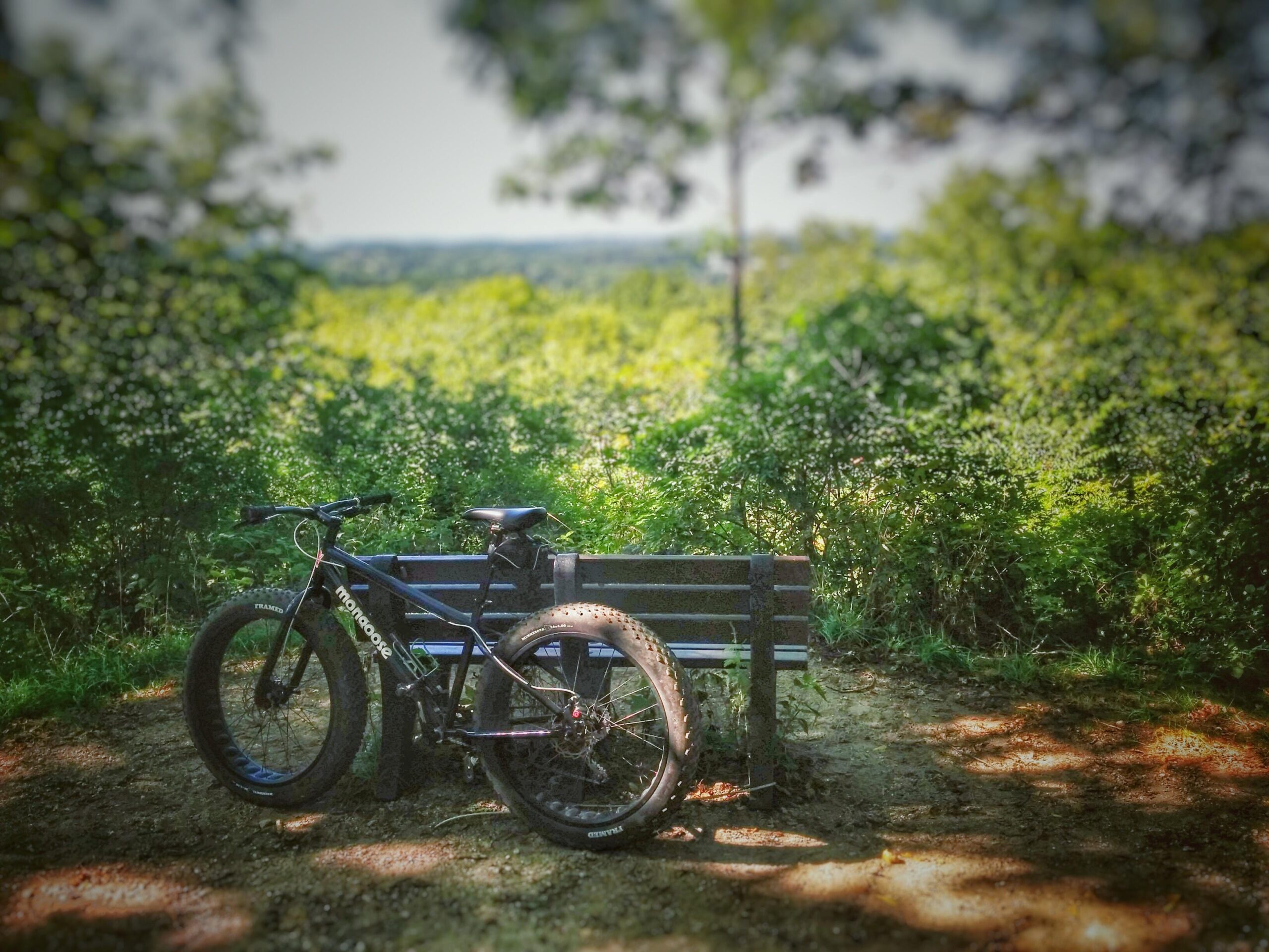 Mongoose Dolomite: A black fat bike leaning against a wooden bench, surrounded by lush greenery, with a scenic view in the background. The scene is illuminated by sunlight filtering through the trees, creating a peaceful outdoor atmosphere.