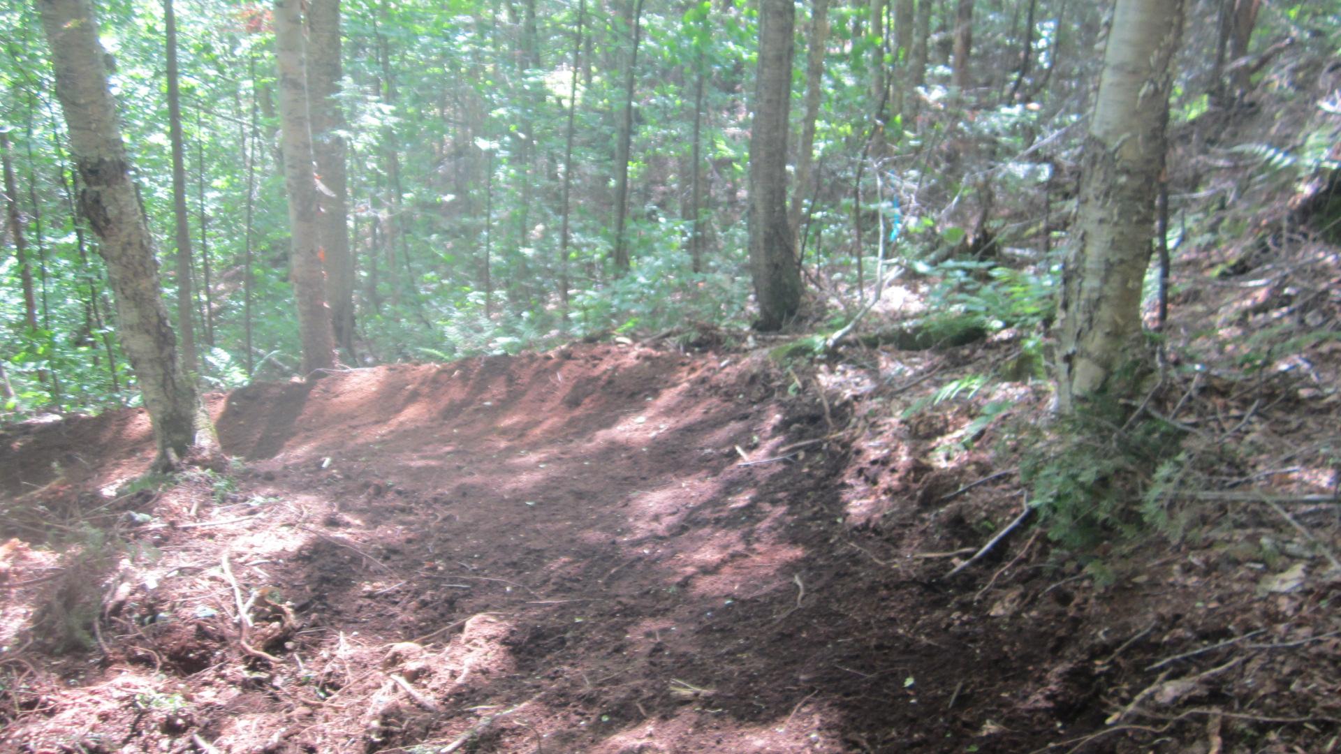 A winding dirt path through a wooded area, surrounded by tall trees and lush greenery. The path has a freshly dug edge, showing rich brown soil, and the sunlight filters softly through the leaves overhead, casting gentle shadows on the ground. Sentiers Du Moulin mountain bike trail.