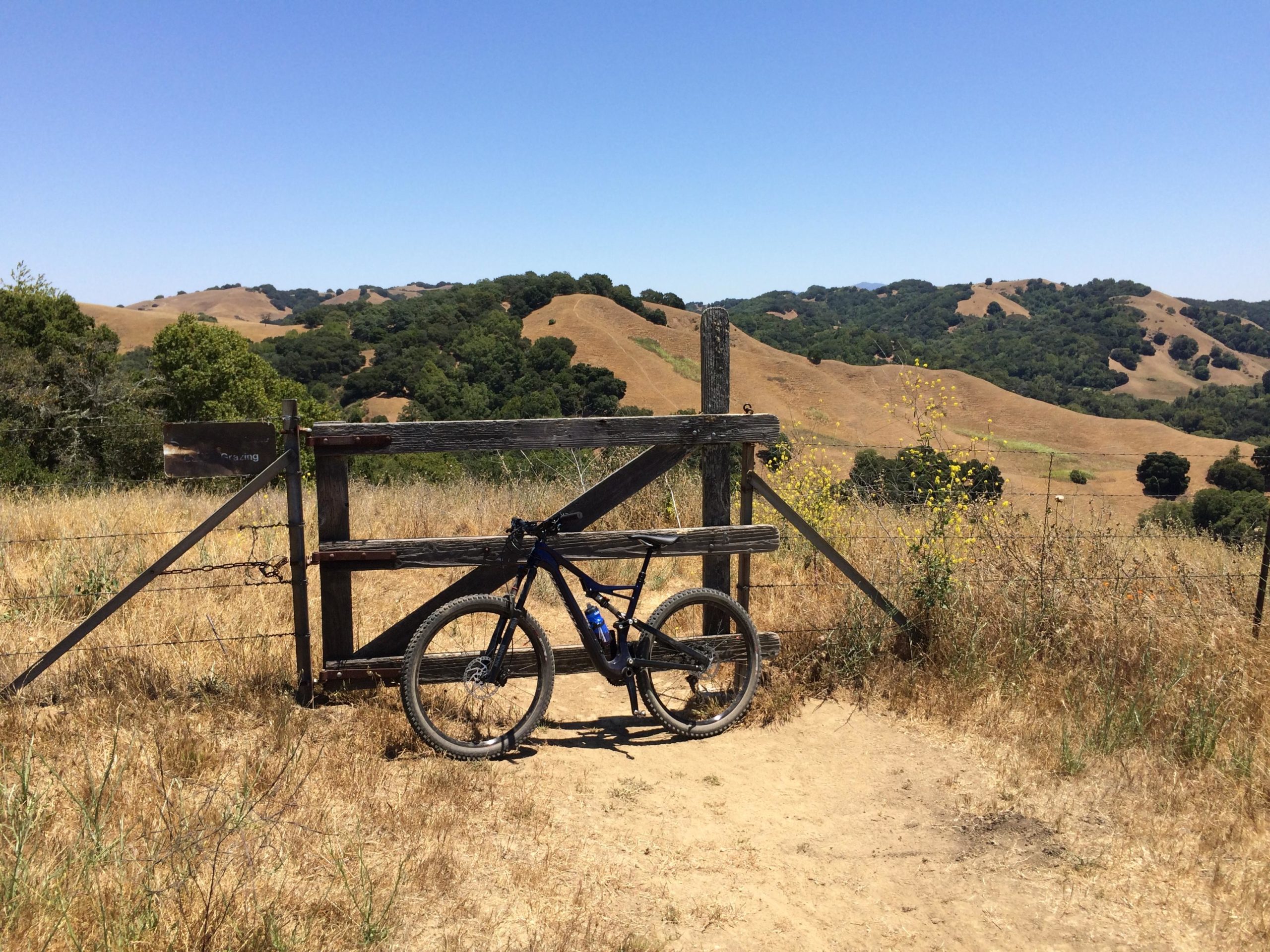 A mountain bike leaning against an open wooden gate, with a scenic view of rolling hills covered in dry grass and scattered trees under a clear blue sky. Briones Regional Park mountain bike trail.