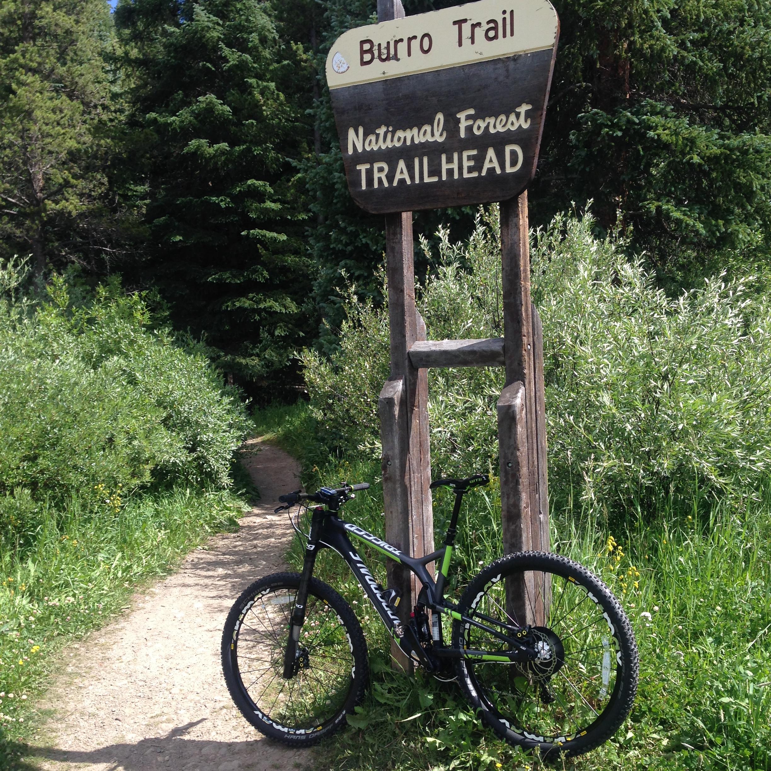 A mountain bike is leaning against a wooden trailhead sign for the Burro Trail, set in a lush green forest. The trailhead sign indicates it is part of the National Forest, with a dirt path leading into the wooded area. Surrounding vegetation includes tall grasses and shrubs. Burro Trail mountain bike trail.