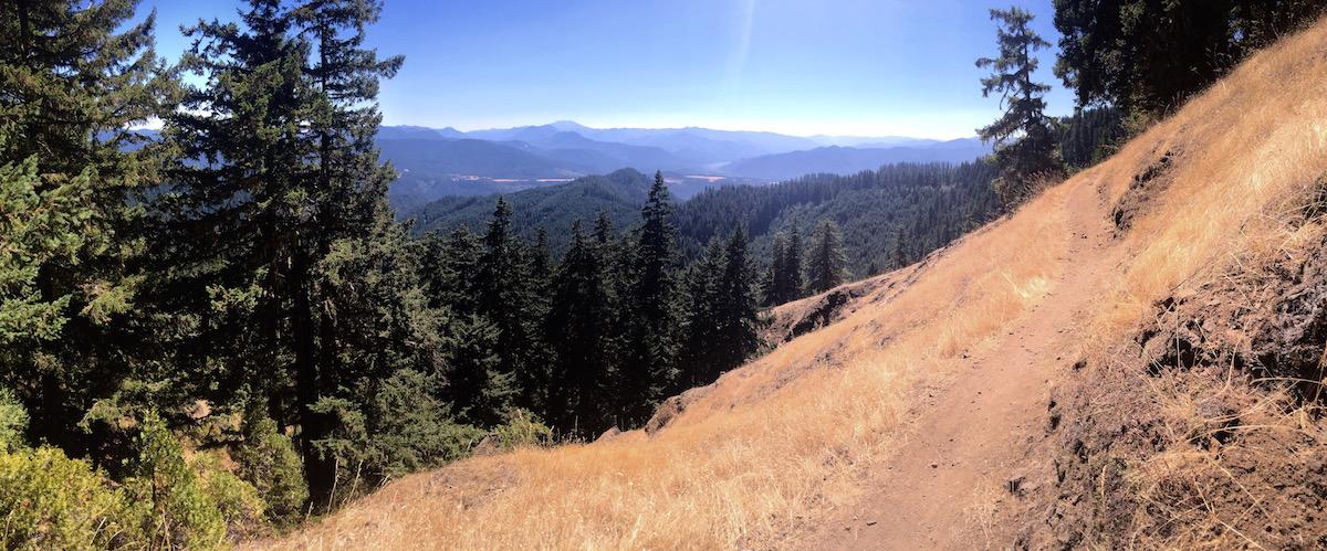 A panoramic view of a mountainous landscape featuring a trail on the right side, surrounded by tall green pine trees. In the background, rolling hills and distant mountains are visible under a clear blue sky. The foreground shows dry golden grass, indicating a sunny day. Alpine Trail mountain bike trail.