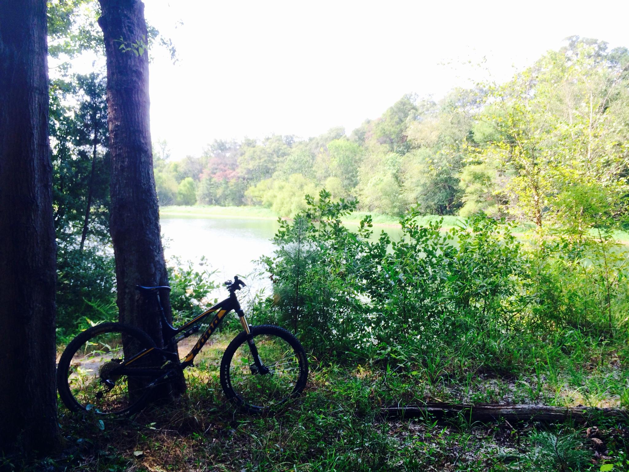 A mountain bike leaned against two trees, with a serene lake and lush greenery in the background. The scene captures the peacefulness of nature, with sunlight filtering through the trees. USNWC mountain bike trail.