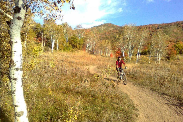 A mountain biker rides along a dirt trail surrounded by colorful autumn foliage and birch trees, with rolling hills in the background under a clear blue sky.