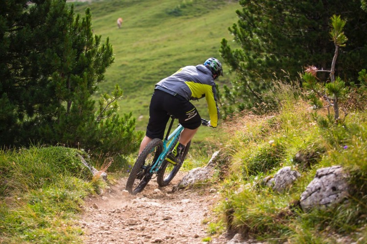 A person riding a mountain bike on a rocky trail surrounded by greenery, with trees on either side and a blurred background of a grassy hillside. Dust is kicked up behind the bike as the rider navigates the terrain.