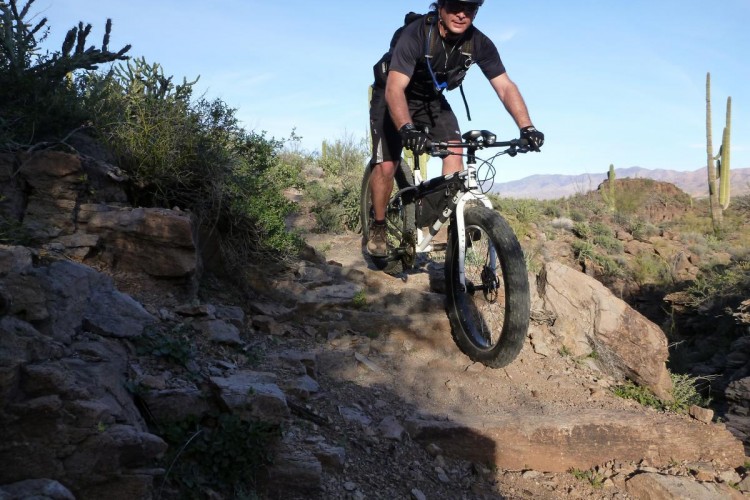 A cyclist navigating a rocky trail on a mountain bike, surrounded by desert vegetation and cacti, under a clear blue sky.