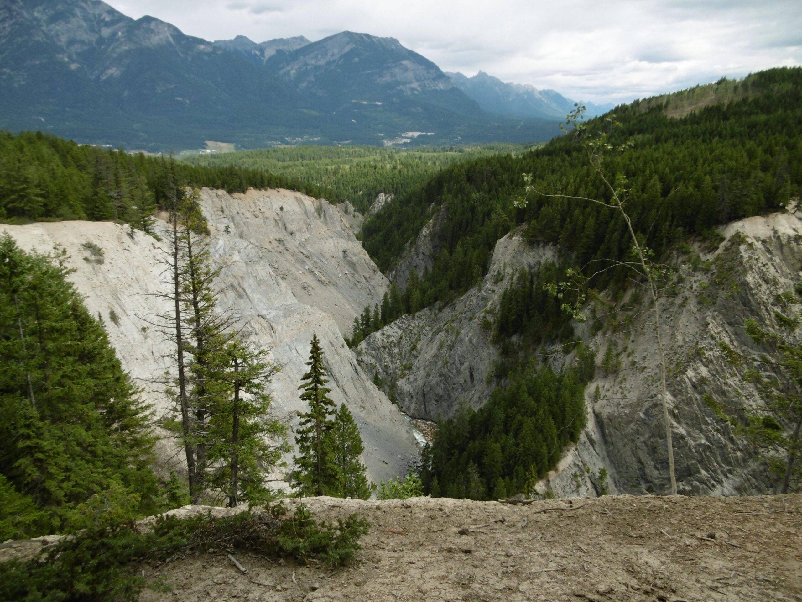 A panoramic view of a deep canyon surrounded by lush evergreen trees and rugged mountains in the background. The canyon walls feature rocky, gray surfaces that contrast with the greenery, creating a striking natural landscape under a cloudy sky. Moonraker Trails mountain bike trail.
