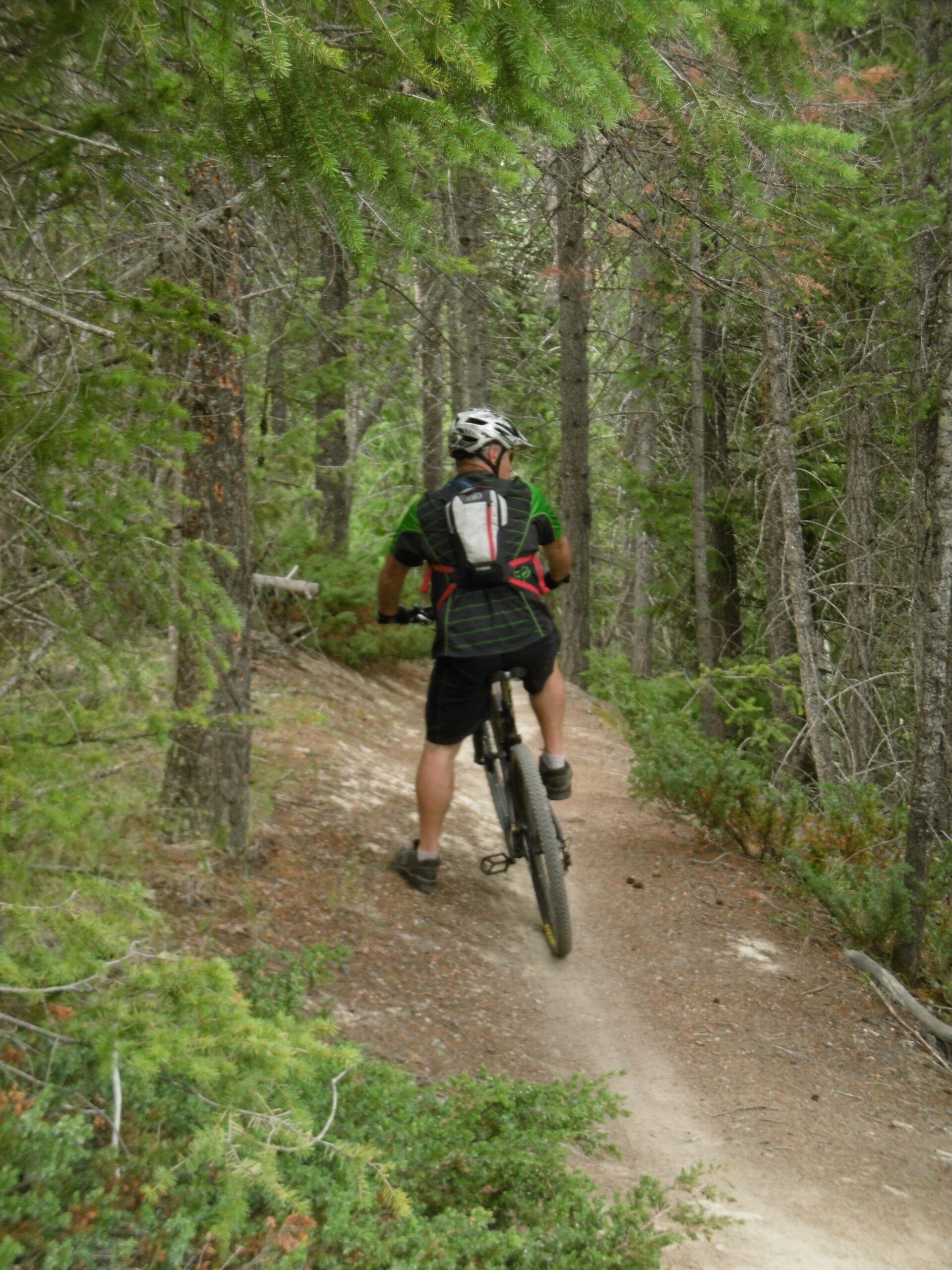 A person riding a mountain bike on a narrow trail surrounded by tall trees and greenery. The cyclist is wearing a helmet and a black and green cycling outfit, facing away from the camera. The trail winds through a dense forest, showcasing a natural outdoor setting. Moonraker Trails mountain bike trail.