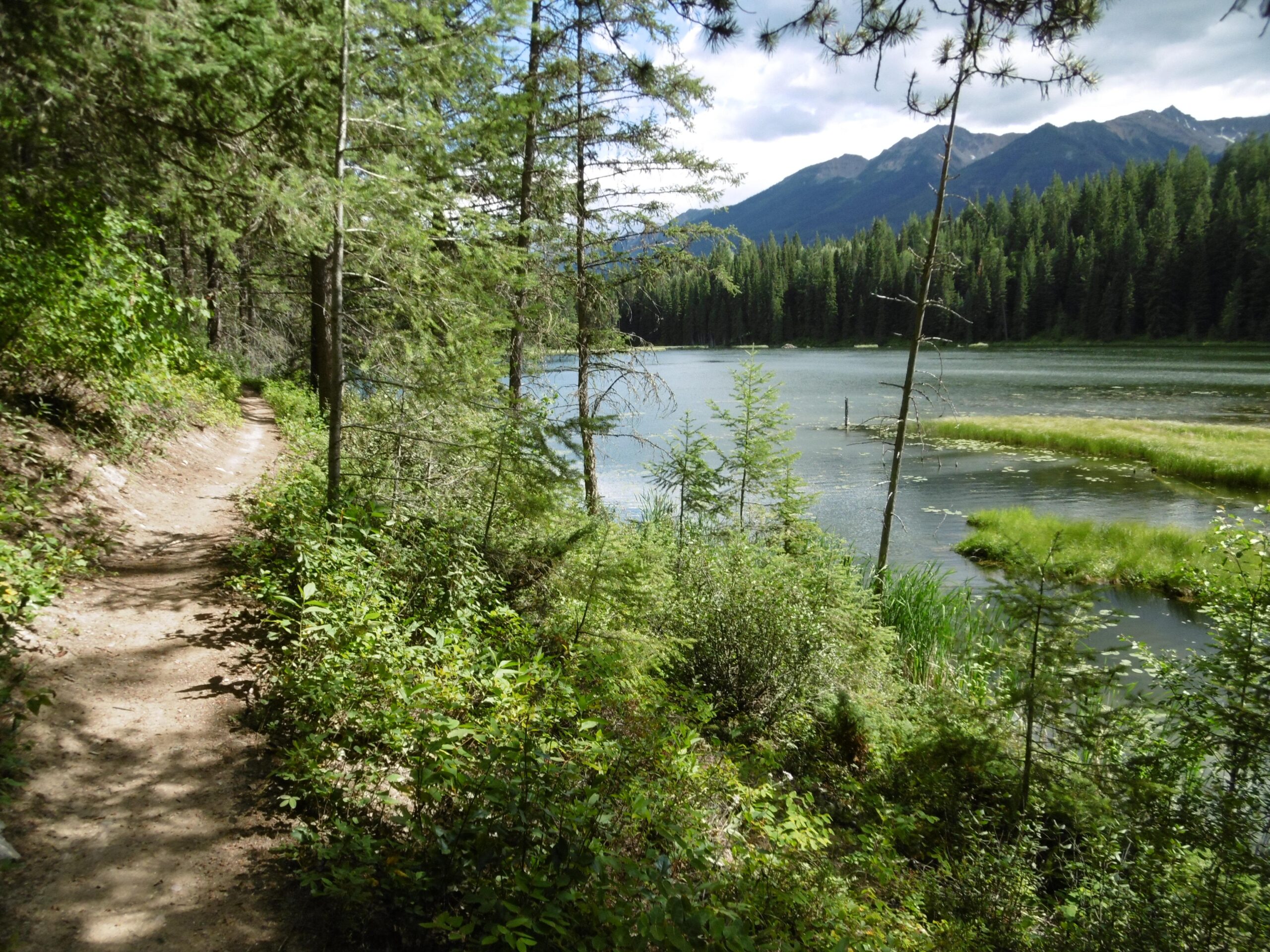 A serene dirt path winds along the edge of a calm lake, surrounded by lush green foliage and tall trees. Majestic mountains rise in the background under a partly cloudy sky, creating a picturesque scene of natural beauty. Moonraker Trails mountain bike trail.