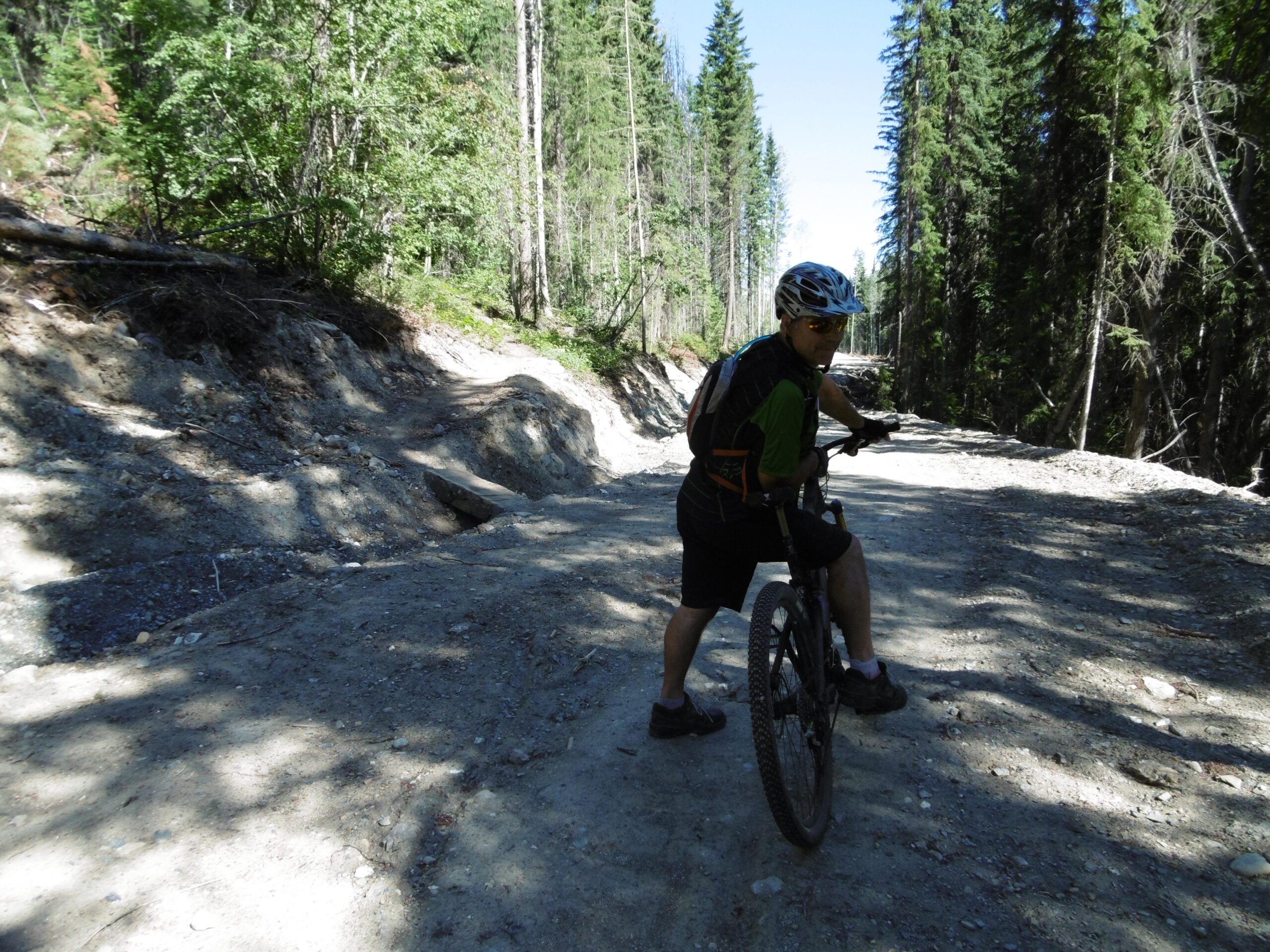 A cyclist wearing a helmet and sunglasses pauses on a dirt trail surrounded by tall trees. The path is rugged, with sunlight filtering through the foliage, creating a serene outdoor atmosphere. Moonraker Trails mountain bike trail.