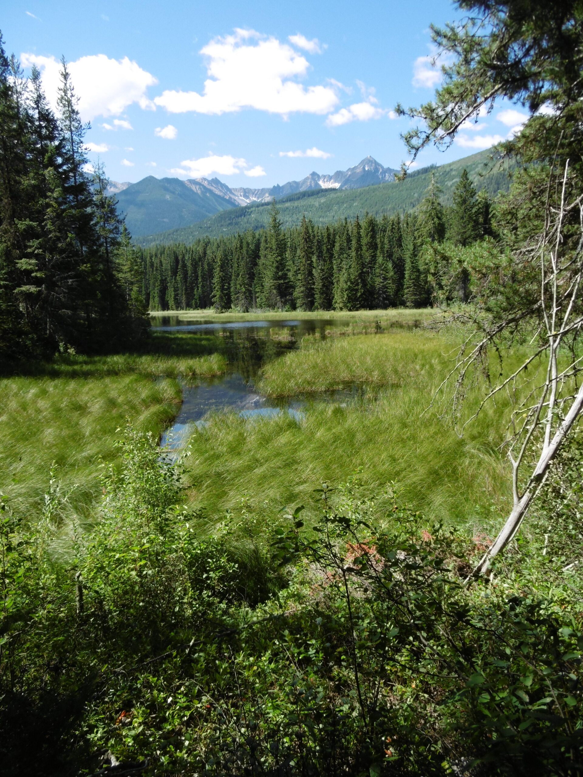 A scenic view of a tranquil body of water surrounded by lush green grass and trees, with majestic mountains in the background under a partly cloudy blue sky. Moonraker Trails mountain bike trail.