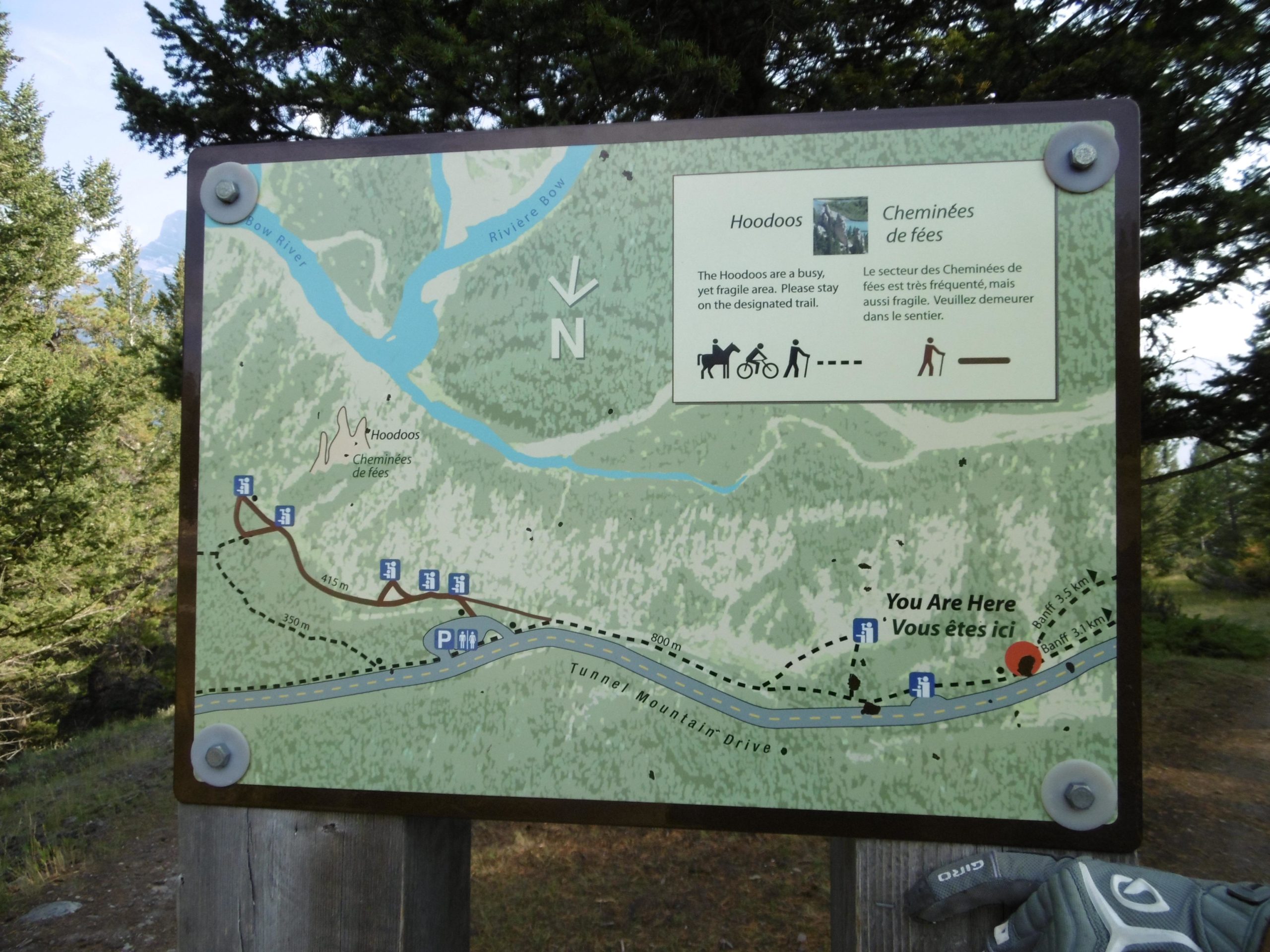 Map of the Hoodoos area featuring trails, points of interest, and signage in both English and French. The map includes a "You Are Here" marker, indicating the visitor's current location, as well as information about different trail uses for hiking, biking, and horseback riding. The area is surrounded by trees and natural scenery. Tunnel Mountain Trail System mountain bike trail.