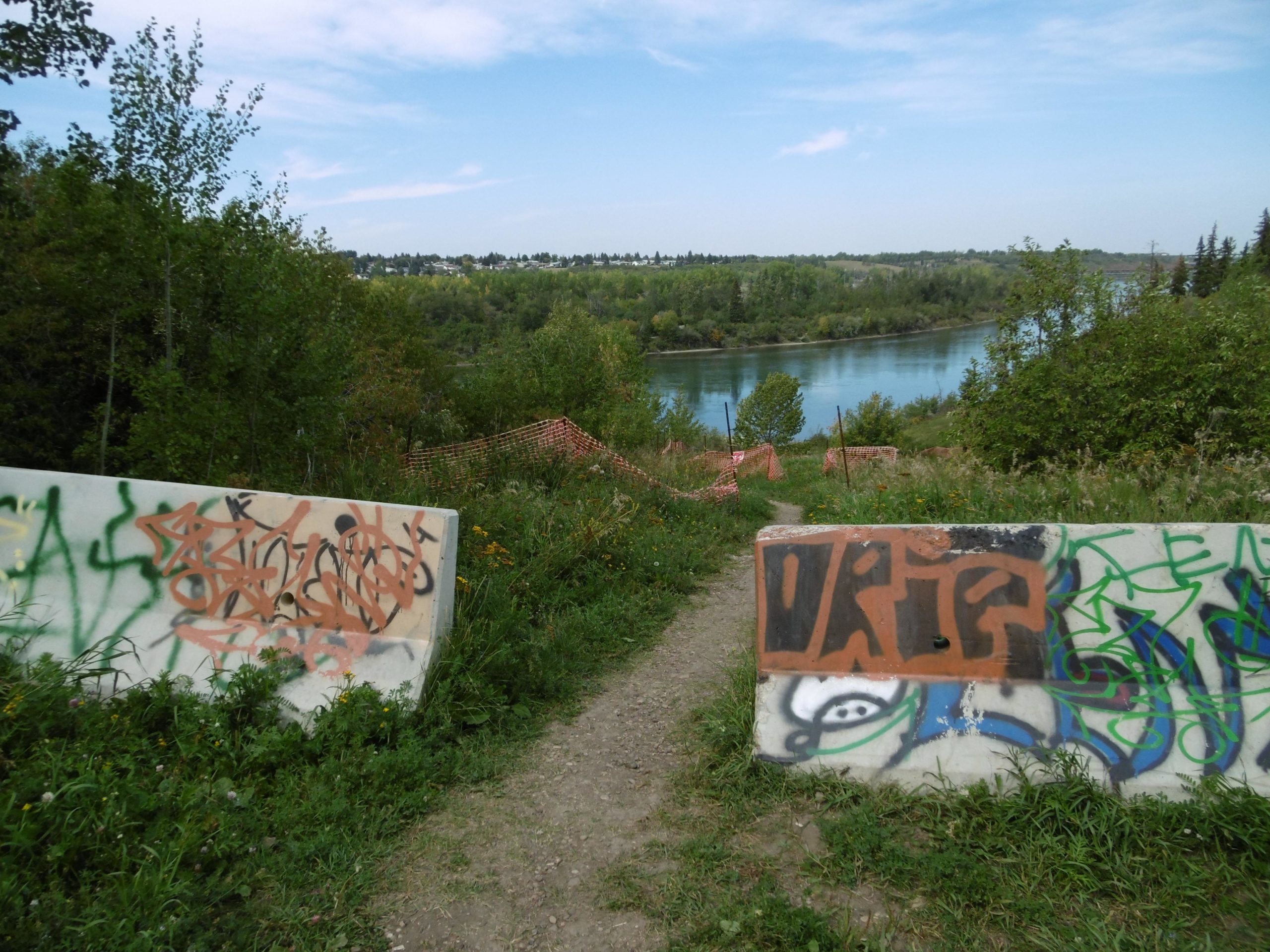 A scenic view of a riverbank with a pathway leading down towards the water. On either side of the path, there are concrete barriers adorned with colorful graffiti. The landscape features green trees and foliage, with a clear blue sky above. In the distance, the river is visible, surrounded by lush greenery and an orange safety fence. Strathcona Science Park mountain bike trail.
