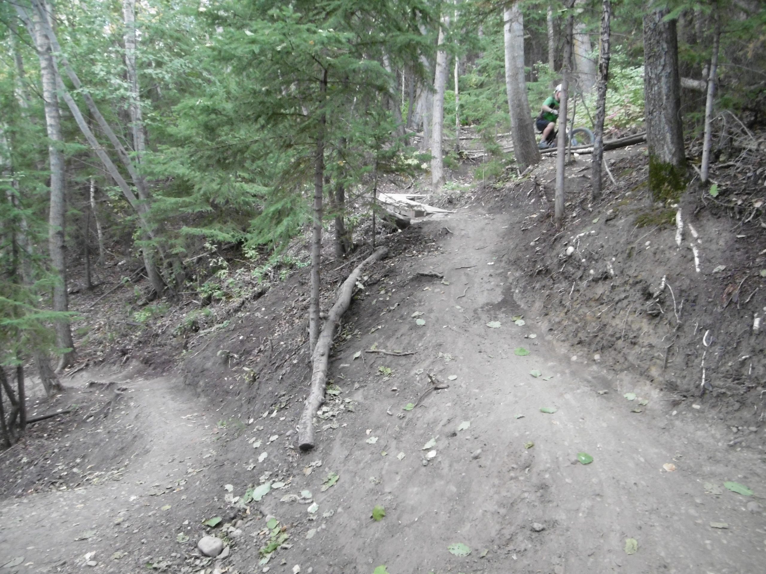 A winding dirt path through a dense forest, with scattered leaves on the ground and trees lining both sides. In the distance, a person is seen riding a bicycle along the trail, highlighting an outdoor recreational area for biking or hiking. Strathcona Science Park mountain bike trail.