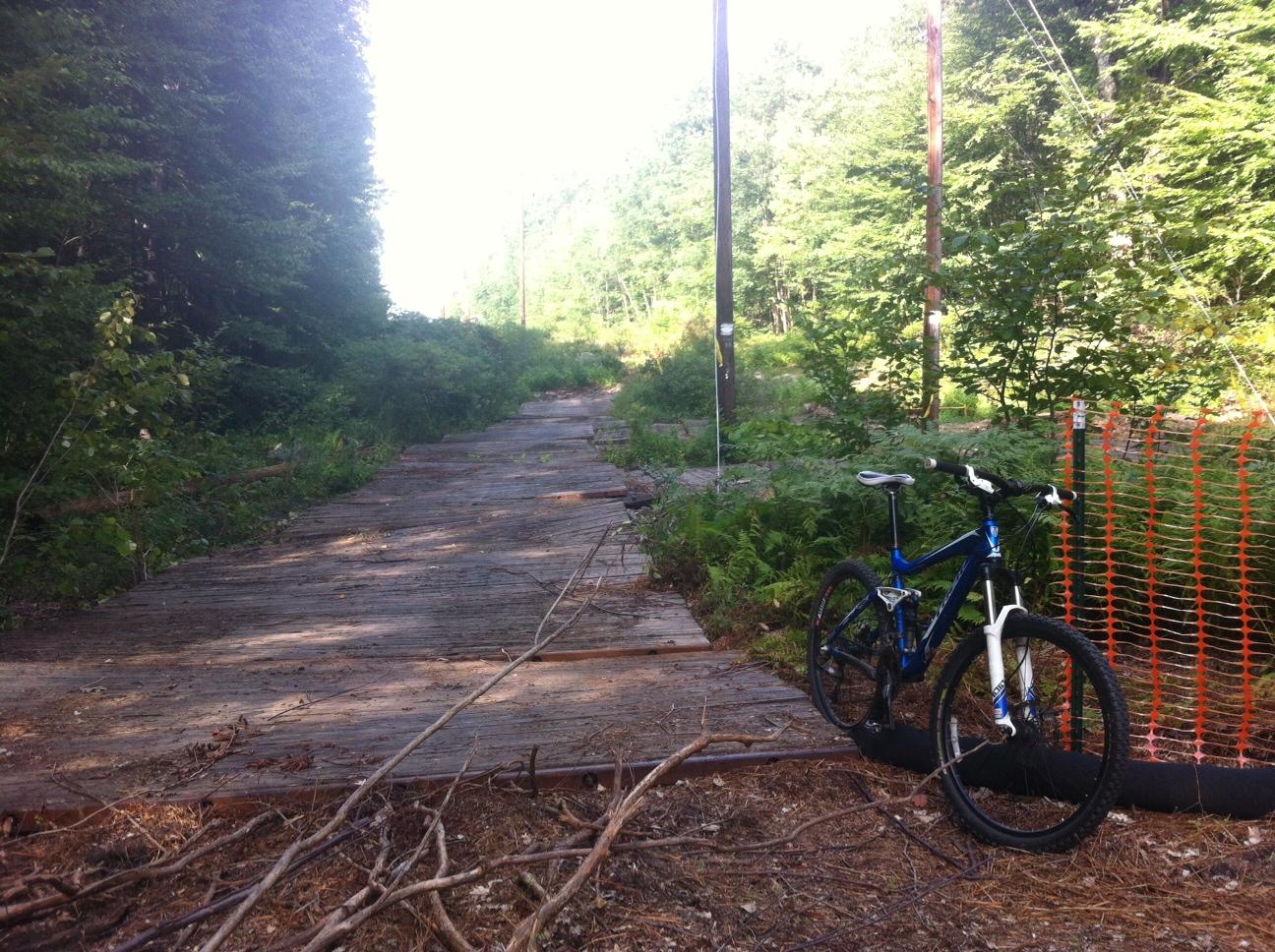 A blue mountain bike rests next to a wooden path surrounded by dense greenery. The path, partially overgrown with plants and brush, leads through a forested area. An orange safety barrier is visible in the background, indicating a possible construction or maintenance zone. Rayburn Trails mountain bike trail.