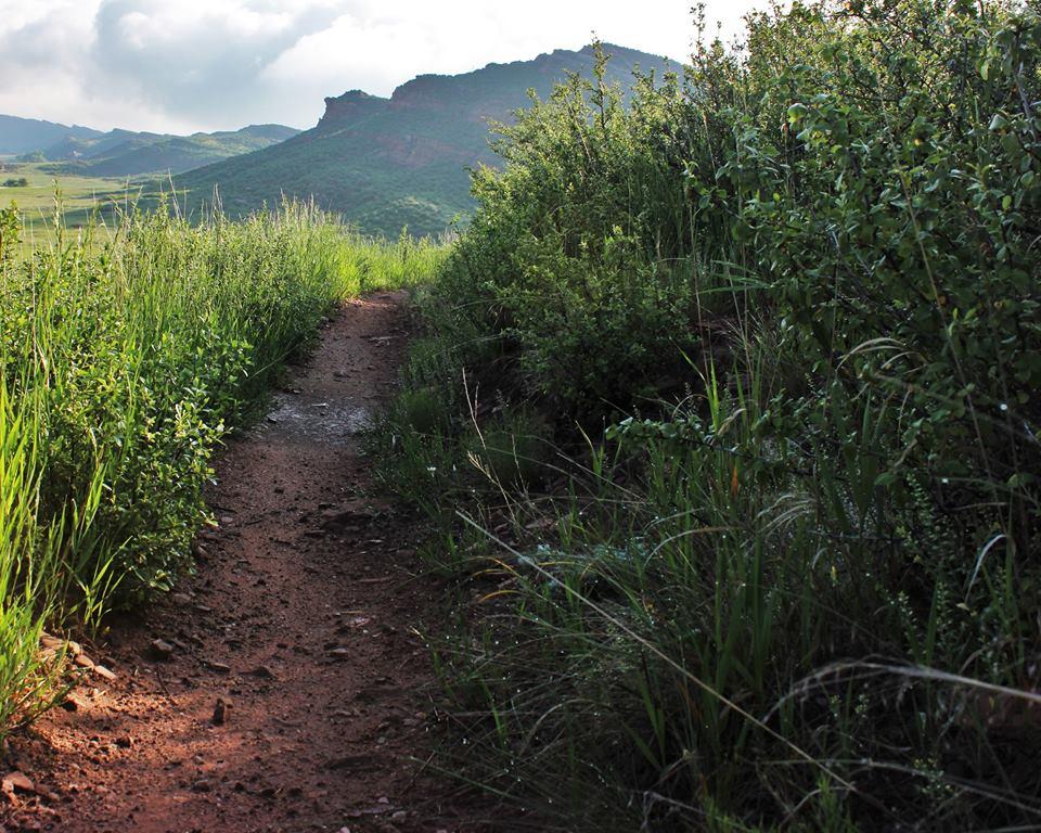 A narrow dirt path surrounded by lush green grass and shrubs, leading towards a distant mountainous landscape under a partly cloudy sky. Blue Sky mountain bike trail.