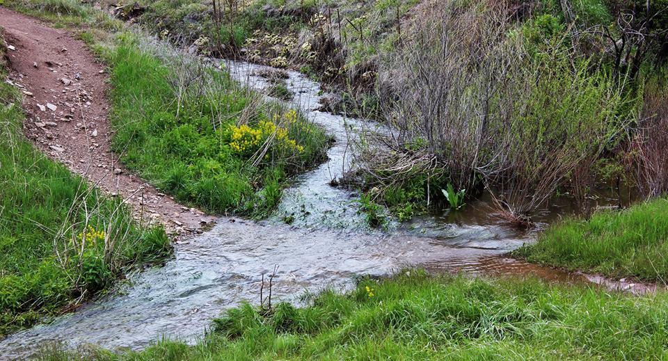 A scenic view of a winding stream flowing through lush greenery, with a dirt path alongside. The stream is surrounded by vibrant grasses and small wildflowers, while sparse bushes and trees create a natural border along the water's edge. Blue Sky mountain bike trail.