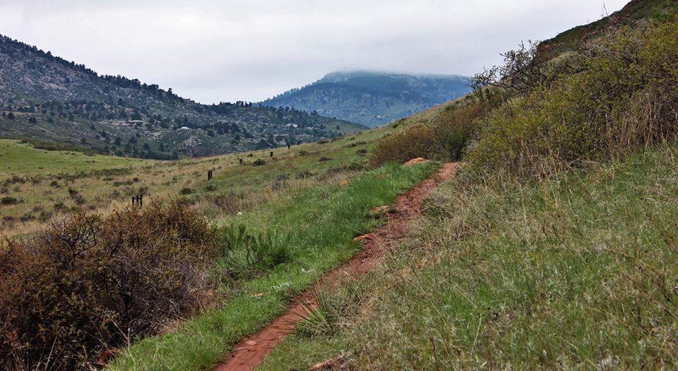A scenic view of a hiking trail winding through green grass and shrubs, surrounded by rolling hills and rocky outcrops under a cloudy sky. Blue Sky mountain bike trail.