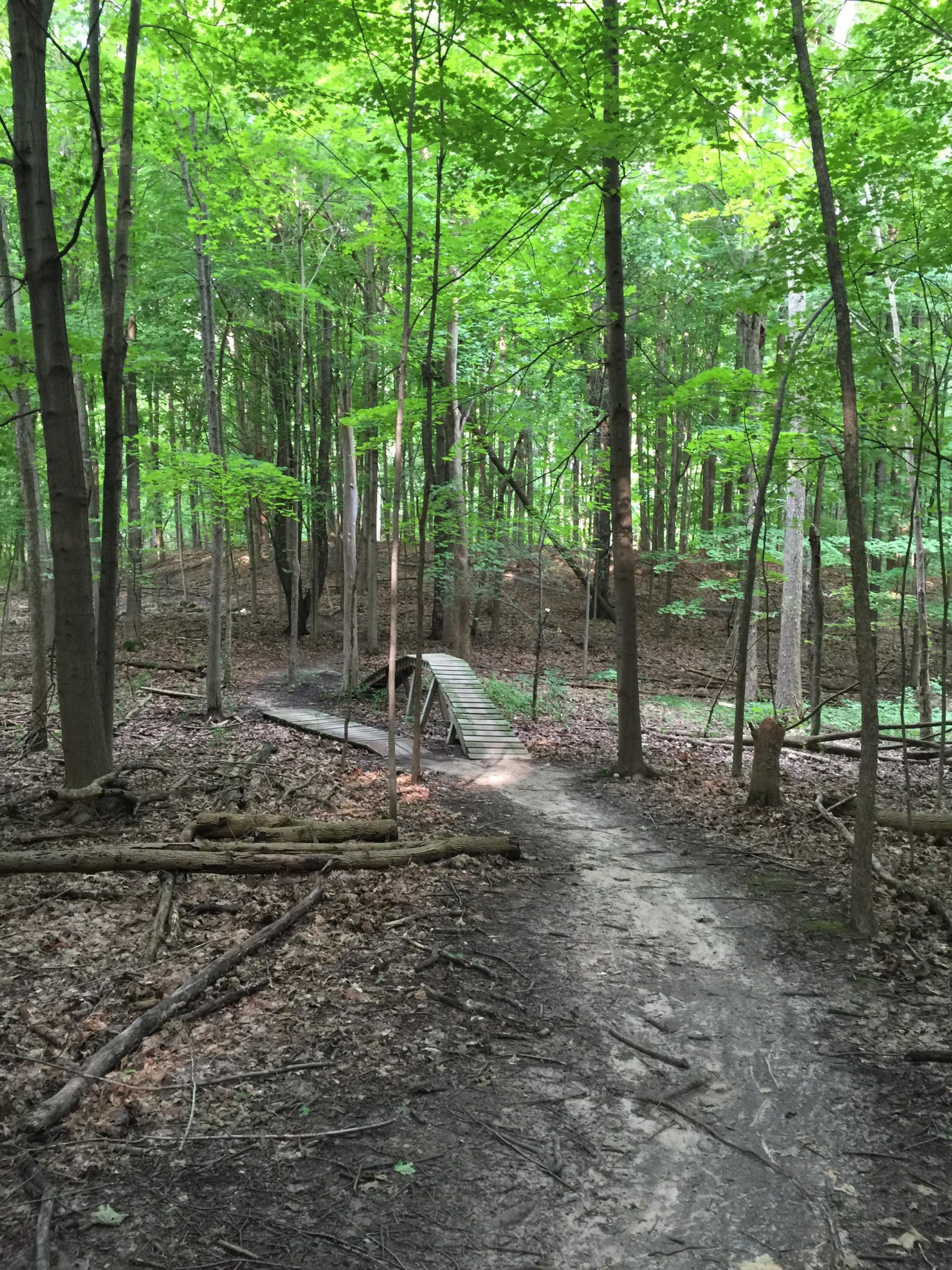 A tranquil forest scene featuring a dirt path winding through lush green trees. In the foreground, a wooden bridge spans a small dip in the terrain, surrounded by fallen leaves and tree branches. Sunlight filters through the canopy, illuminating the greenery and creating a serene atmosphere. Anderson Park mountain bike trail.