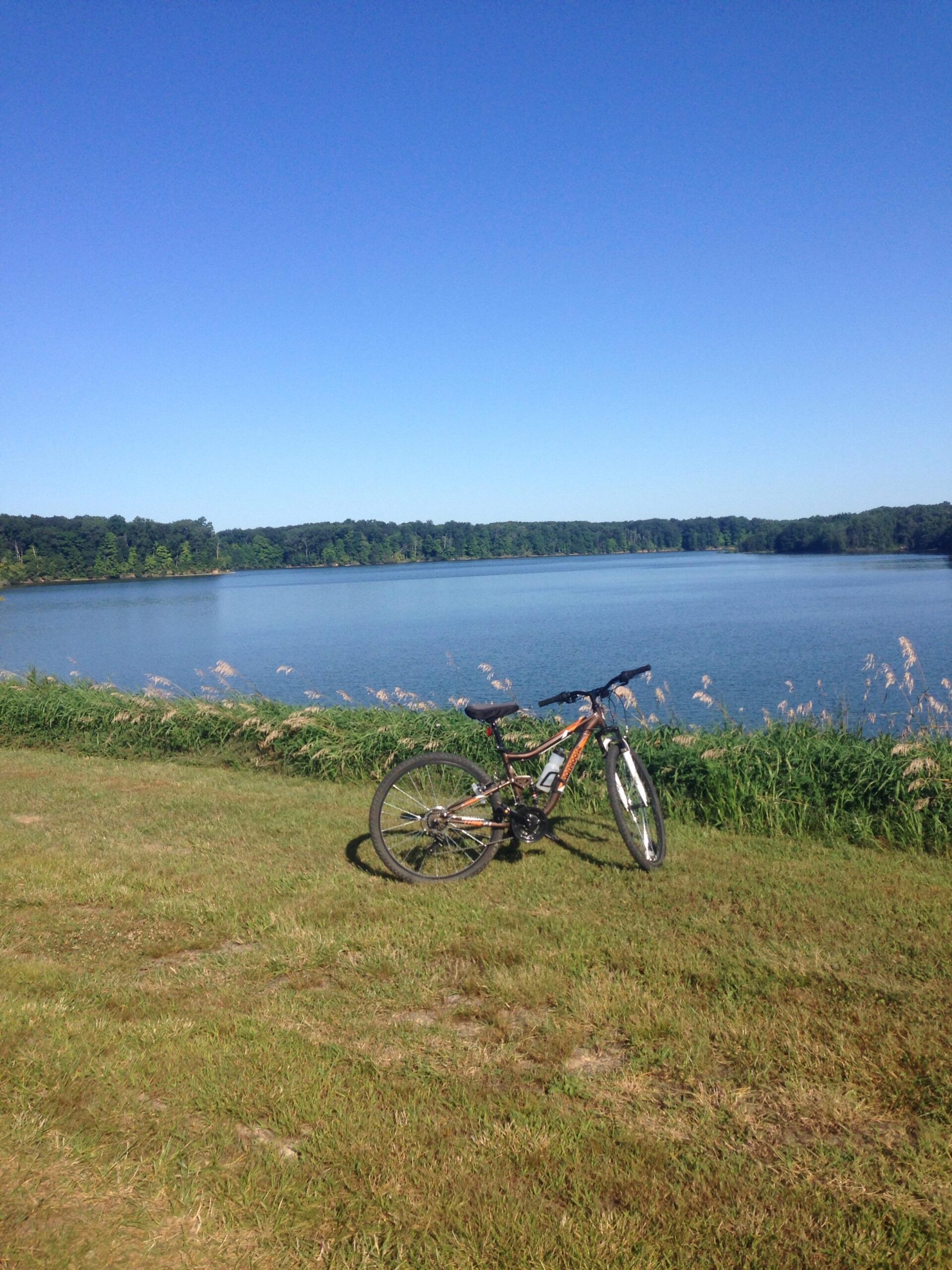 Mongoose Mongoose Ledge 2.1: A mountain bike resting on a grassy area near a tranquil lake, surrounded by lush greenery and a clear blue sky.