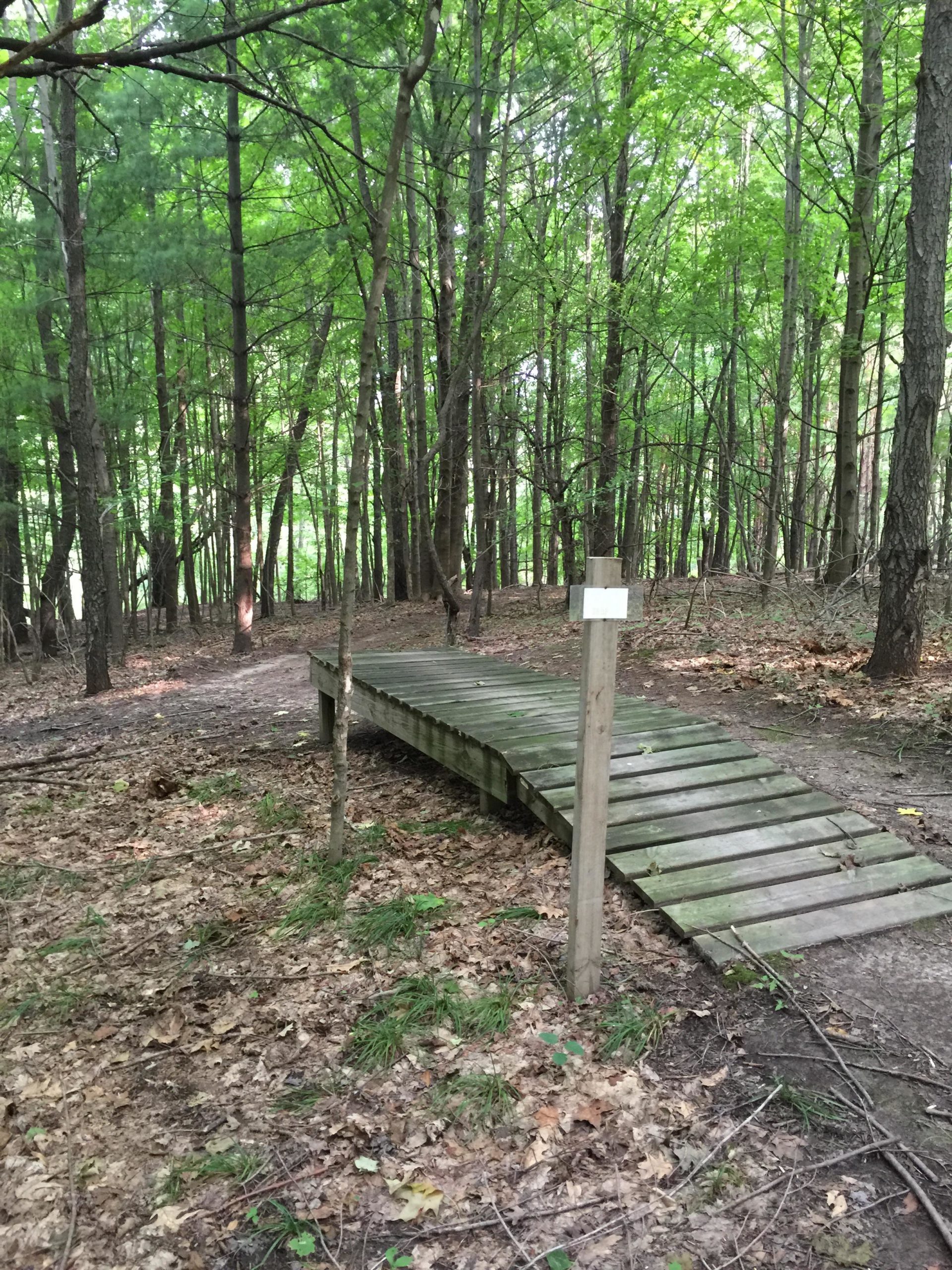 A wooden bridge spanning a small path in a lush green forest, surrounded by tall trees and fallen leaves. The scene captures a tranquil outdoor setting, inviting exploration. Anderson Park mountain bike trail.