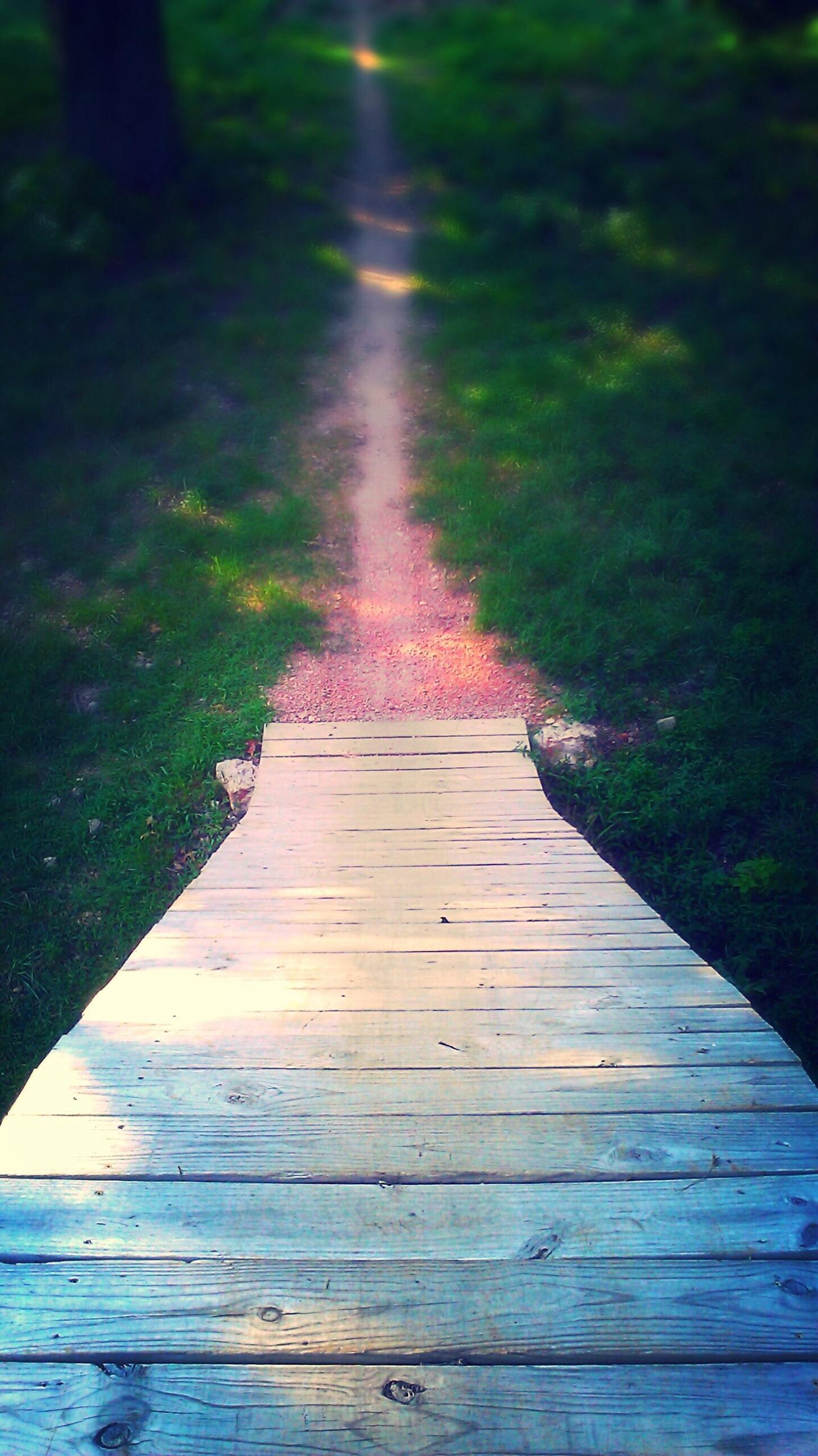 A wooden pathway leading into a grassy area, with a dirt trail visible in the background. The setting is serene, surrounded by green grass and soft lighting. Two Rivers Bike Park mountain bike trail.