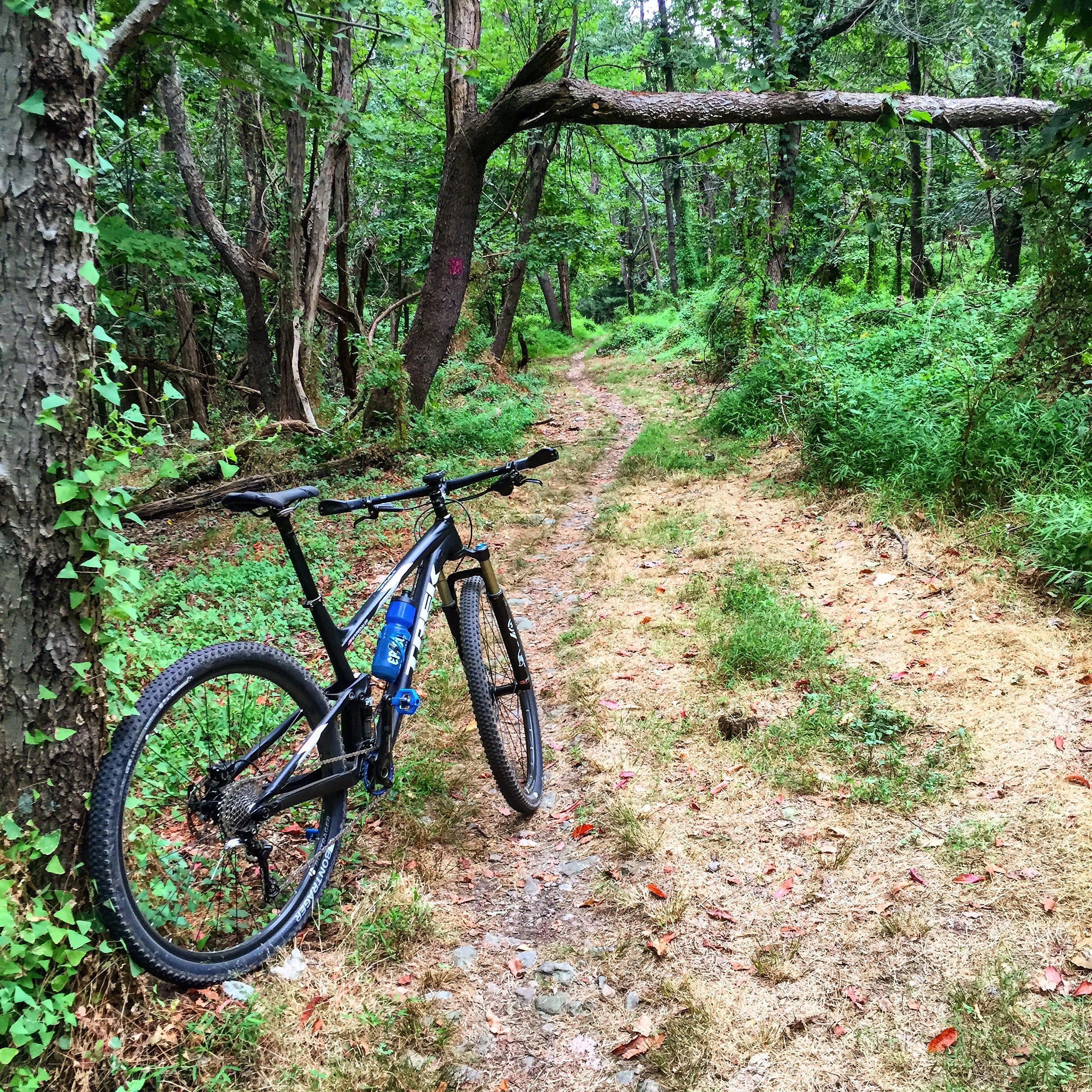 A mountain bike propped against a tree on a narrow dirt trail surrounded by lush greenery and trees. A fallen branch extends over the path, creating a natural canopy. The ground is a mix of grass and dirt with scattered leaves. Greenbrier State Park mountain bike trail.