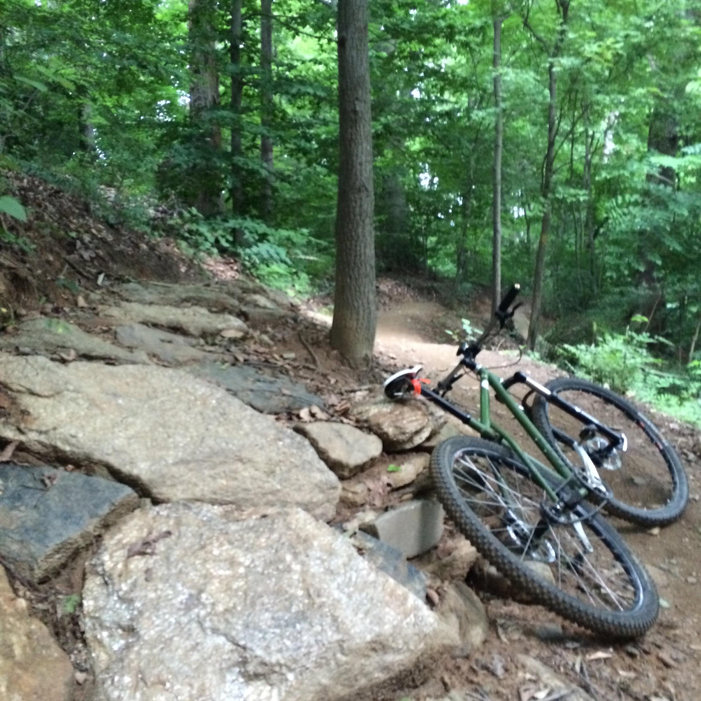 A green mountain bike resting against large rocks on a forest trail surrounded by leafy trees. The path curves into the distance, indicating a scenic wooded area suitable for biking. Wissahickon Valley Park mountain bike trail.