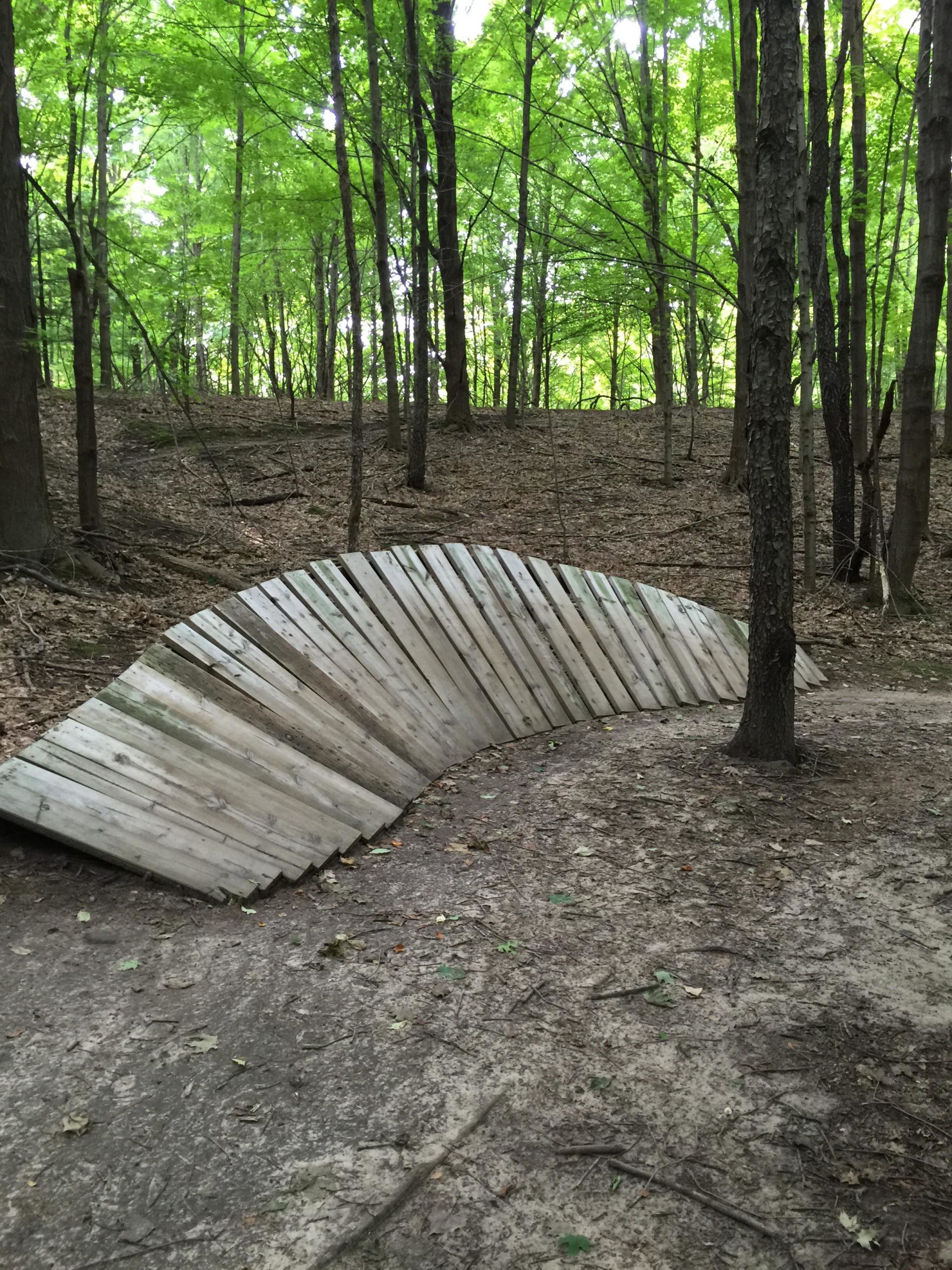 A curved wooden ramp built on a dirt path in a lush green wooded area, surrounded by trees with vibrant green leaves and scattered fallen leaves on the ground. Anderson Park mountain bike trail.